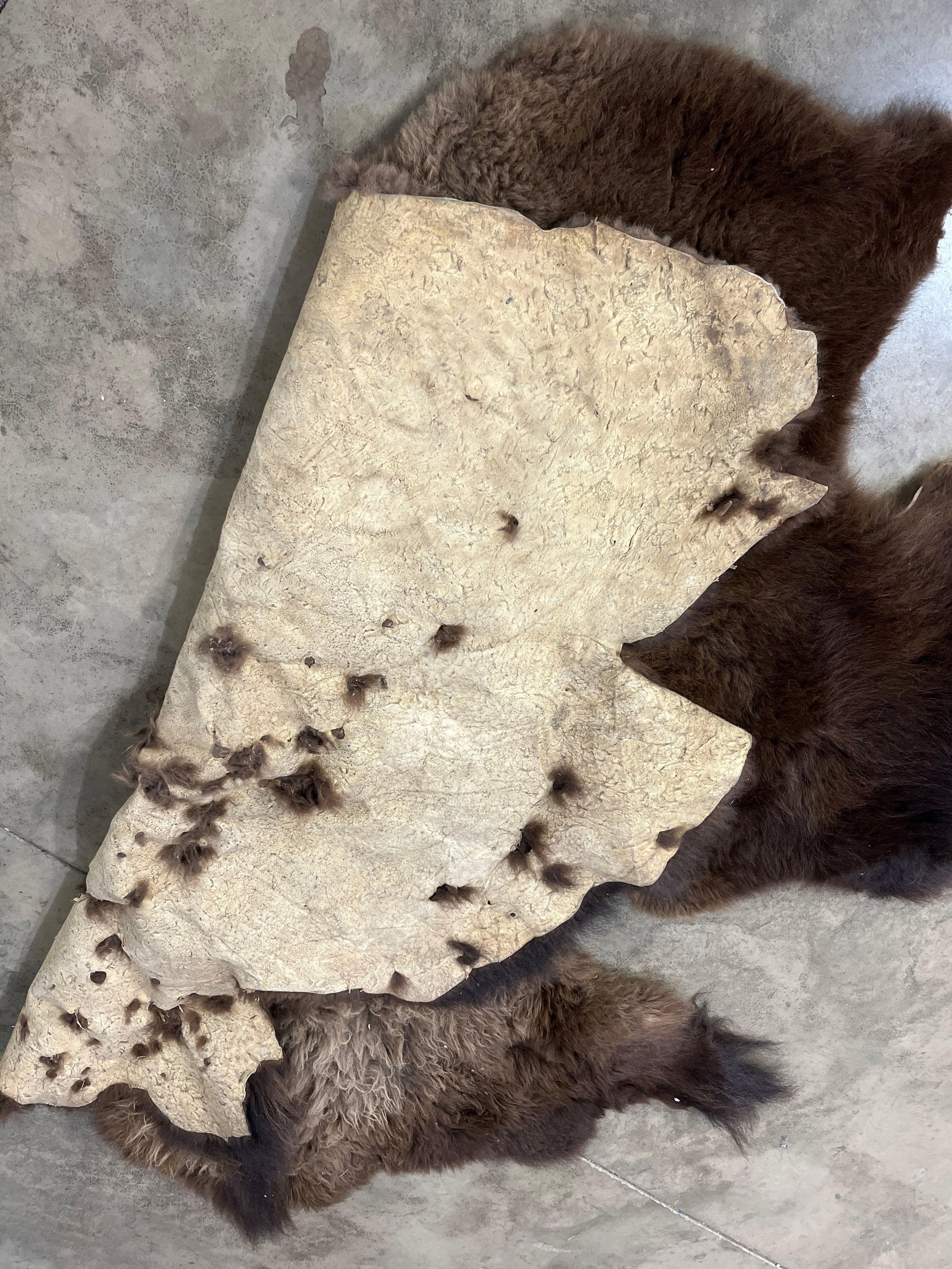 Soft Tanned Buffalo Hide - 6