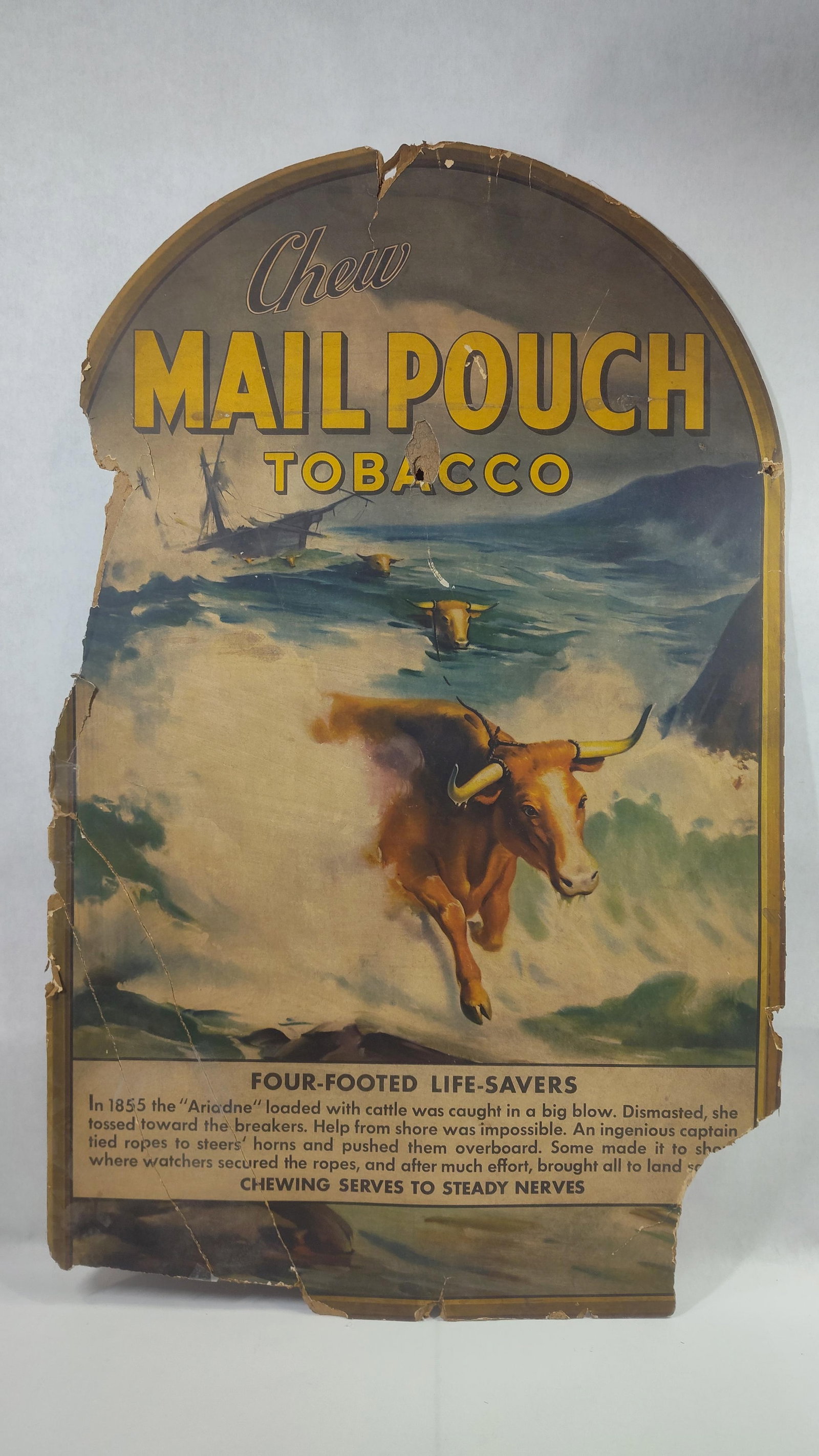 Mail Pouch 'Four Footed Life Saver' Tombstone Cardboard Sign: This sign shows some creases as well as missing corners and edges. Image to center is nice and clean with good color. 34x21.