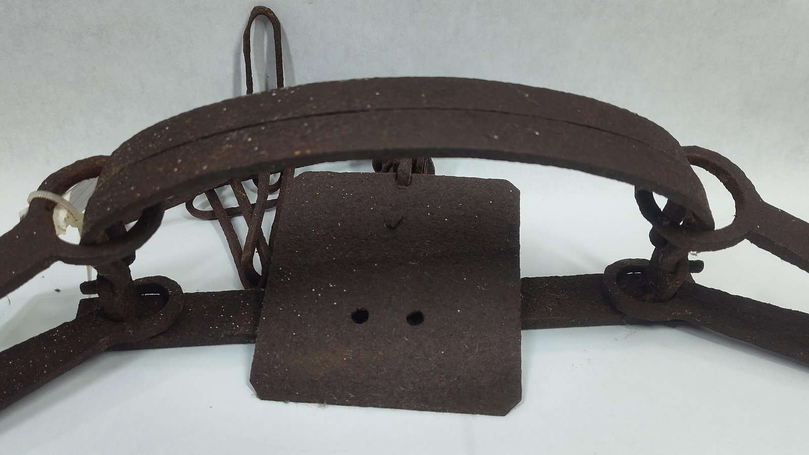 Old Beaver trap? - 2