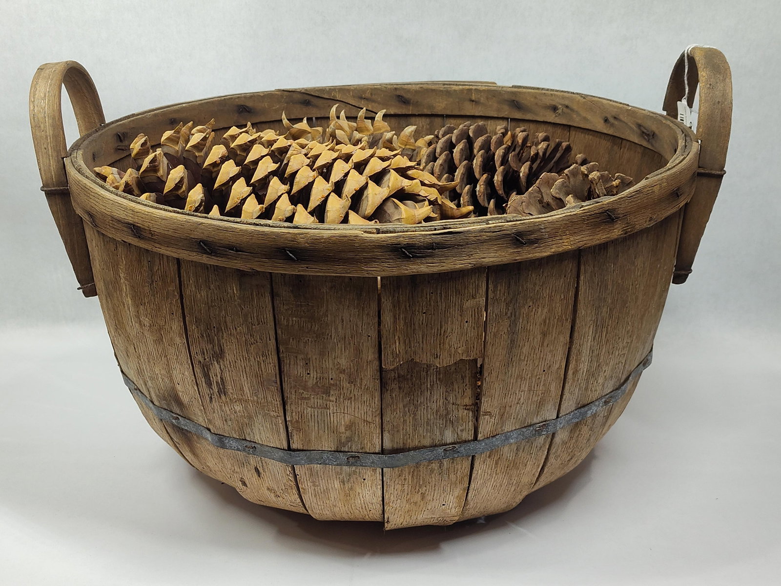 Early Wooden Bushel Basket with Oversized Pine Cones: Basket has a few broken slats but overall is decent and is filled with huge pine cones. 18in diameter 11in tall.