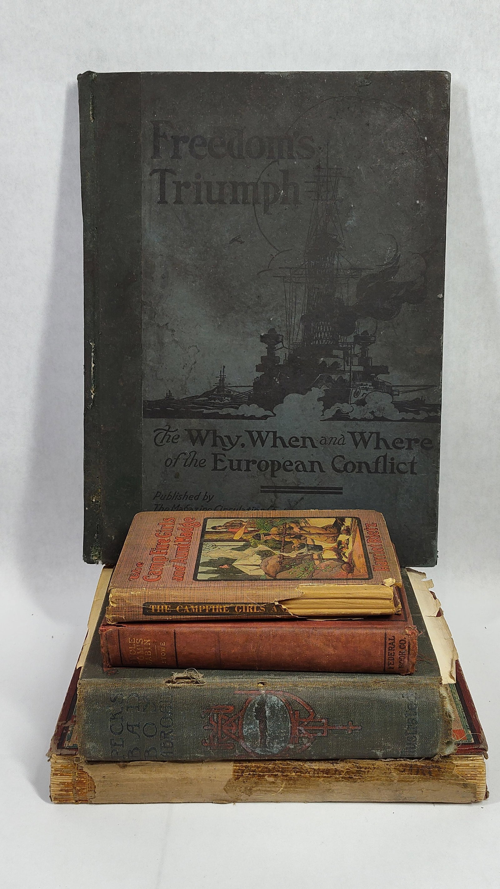 Early 20th Century History, Juvenile, and Classic Literature Volumes: This group comprises several antique andhardcover books focused on history and fiction. The primary volume is titled Freedom's Triumph: The Why, When and Where of the European Conflict, published by