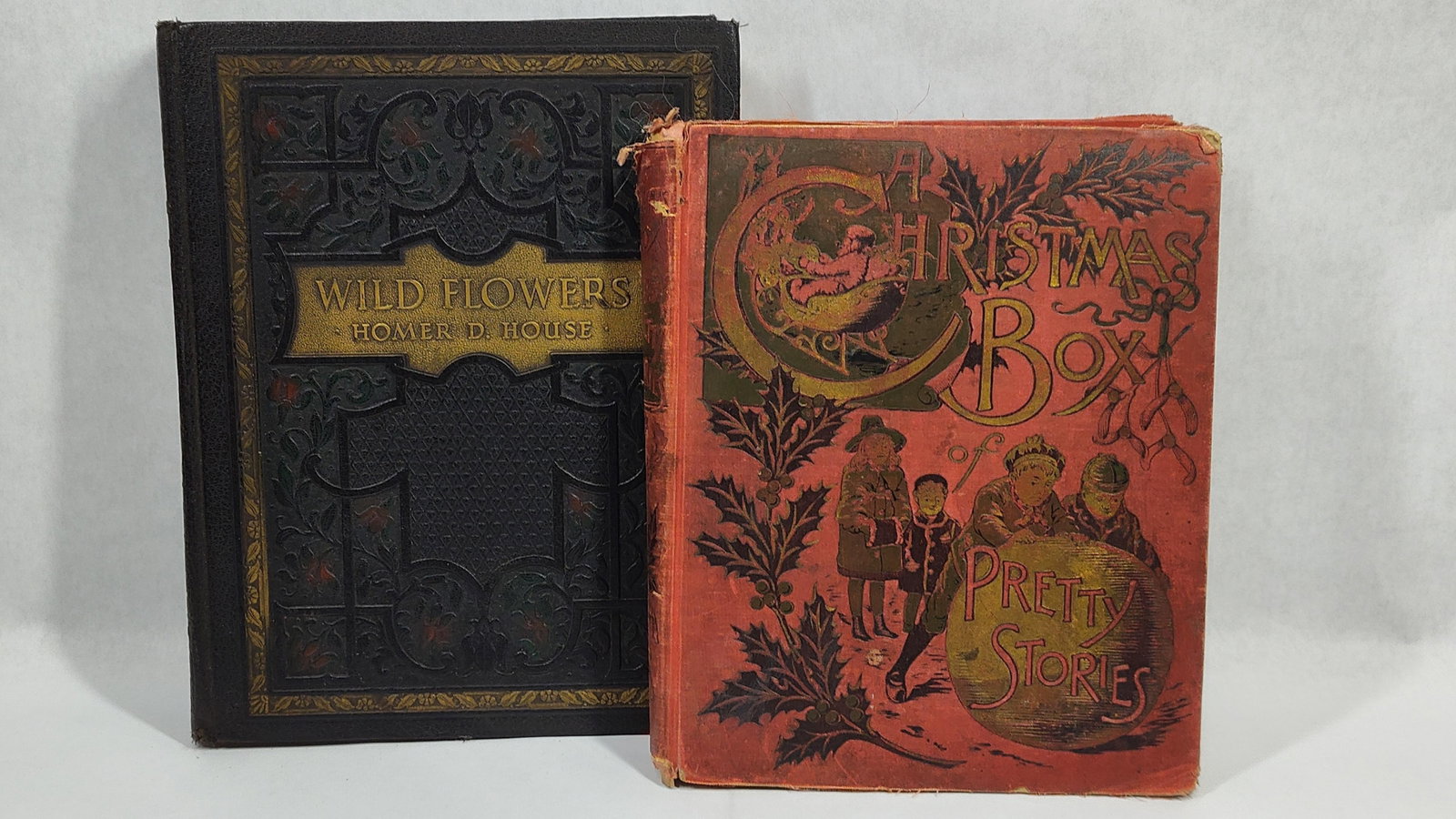 House, Homer D. Wild Flowers; and A Christmas Box of Pretty Stories. Two Volumes.: This lot consists of two distinct hardcover volumes. The first is Wild Flowers by Homer D. House, a botanical study bound in dark, ornate blind-stamped cloth with a gilt-stamped title block on the