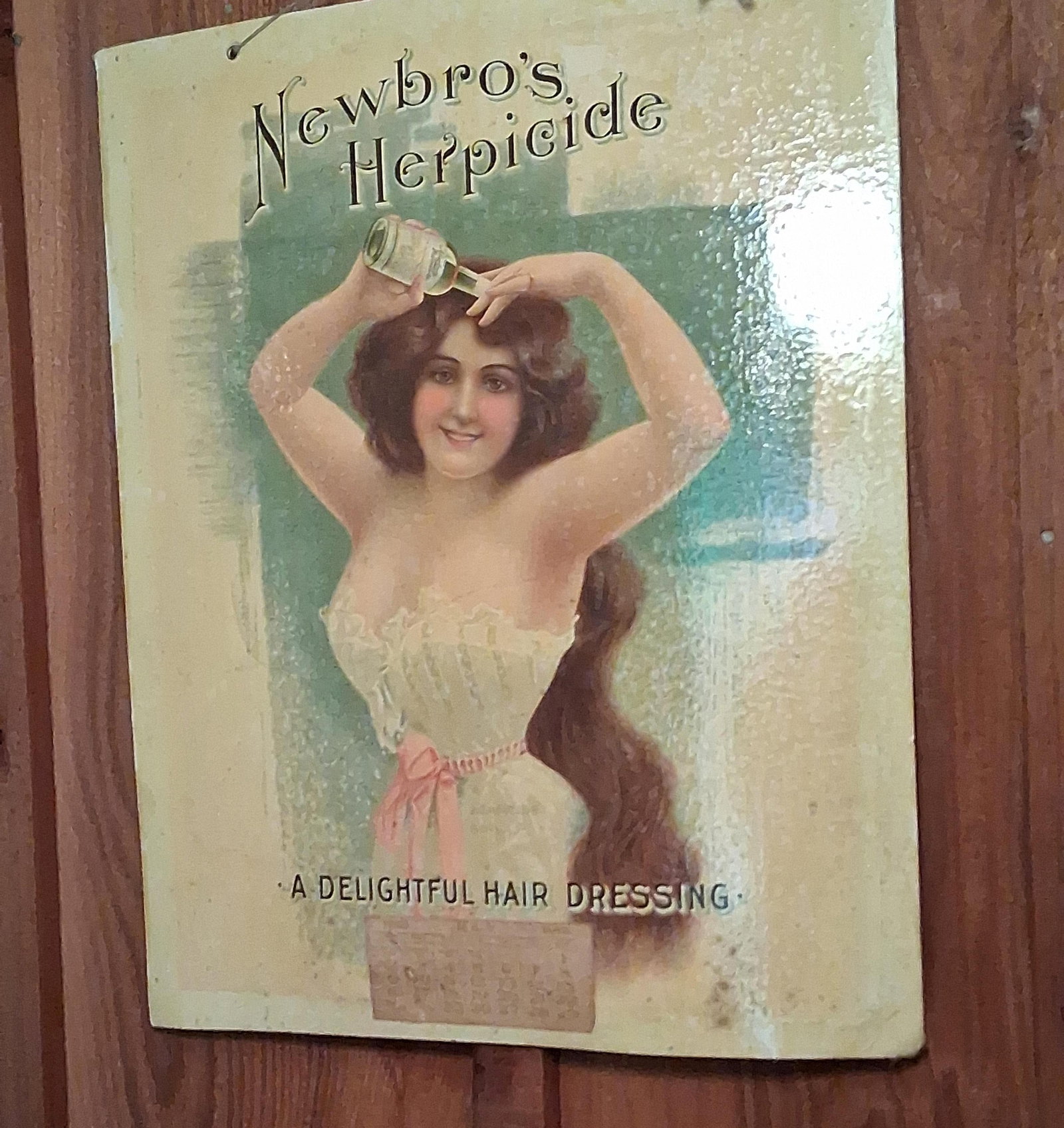 Newbro's Herpicide 1916 Tin-Lithograph Calendar: 20x17. An early 20th-century tin-lithograph advertising sign for Newbro?s Herpicide, manufactured by The Herpicide Company of Detroit, Michigan. The sign is designed as a promotional piece featuring a