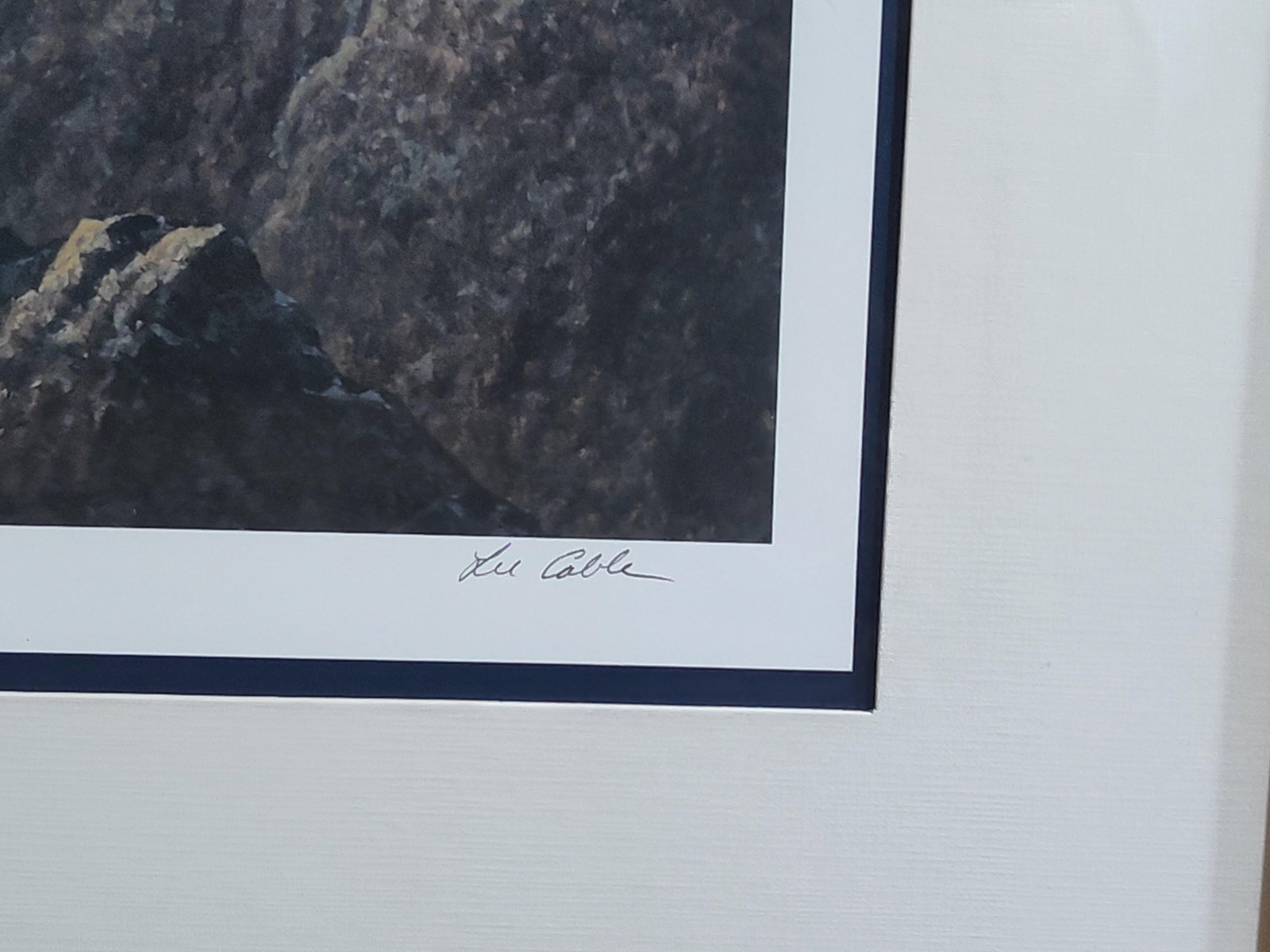Pair Lee Cable Bald Eagle Lithographs - 3