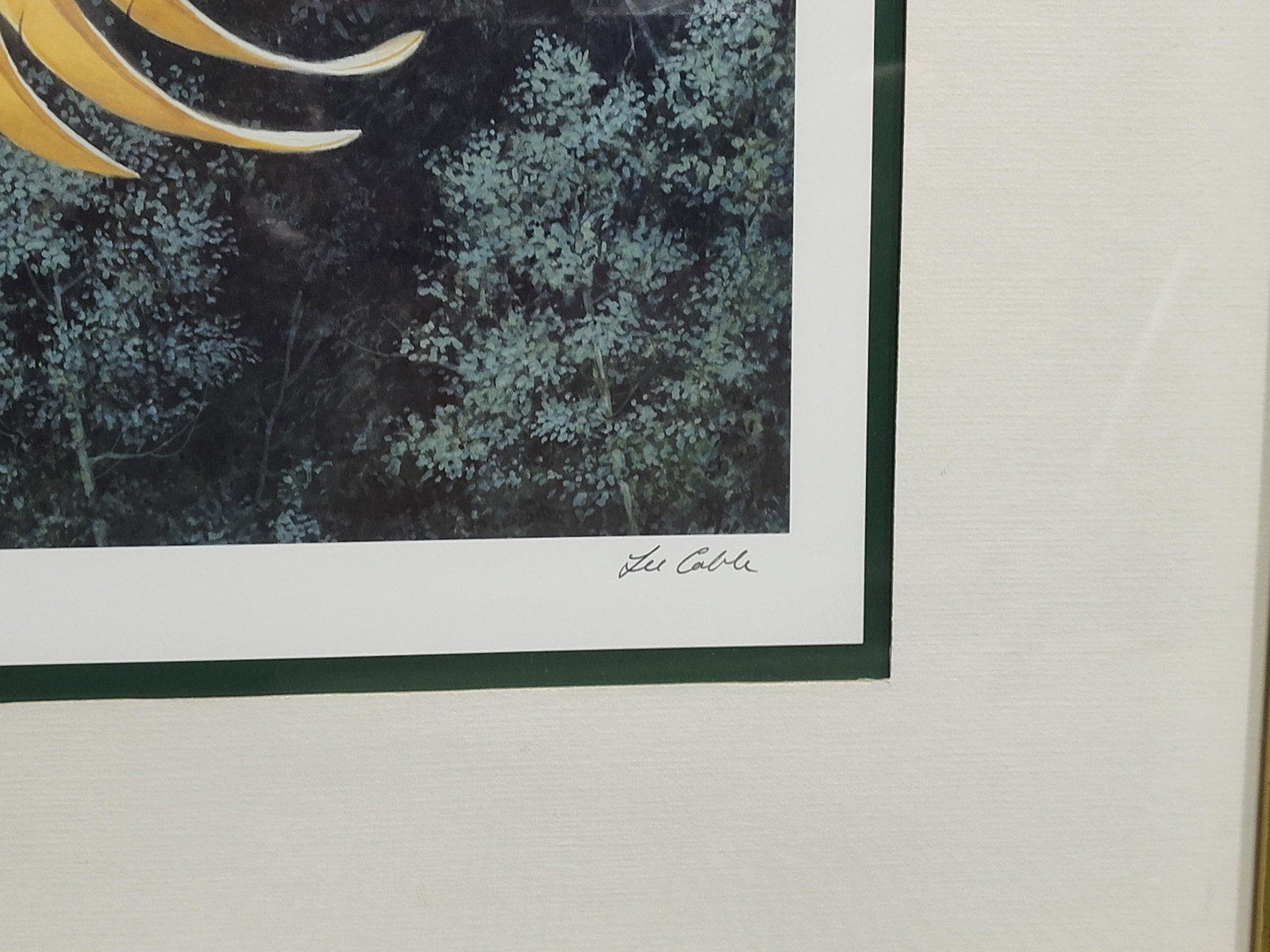 Pair Lee Cable Bald Eagle Lithographs - 5