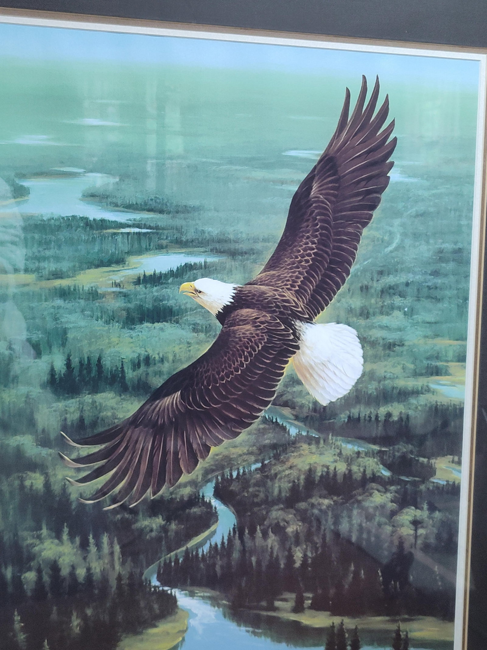 Lynn R. Kaatz Bald Eagle Offset Lithograph 30/150 - 2