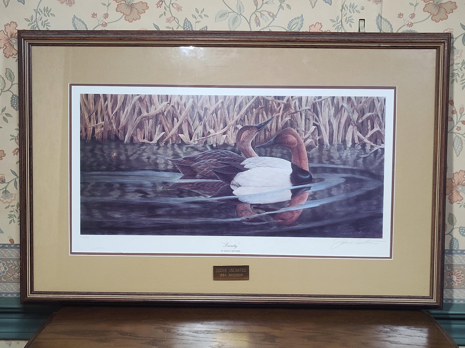 John A. Ruthven, Serenity, Offset Lithograph: This limited edition offset lithograph, titled Serenity, is by the American wildlife artist John A. Ruthven. The composition features a pair of Canvasback ducks on calm water surrounded by marsh