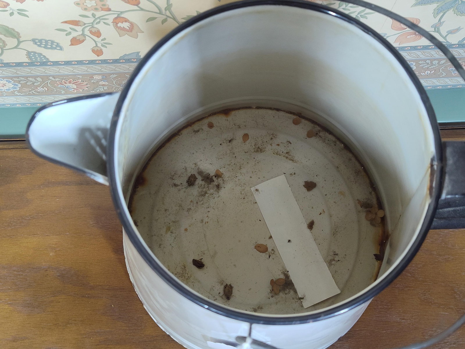 Antique White Enamelware Pitcher w/ Wood Grip - 2