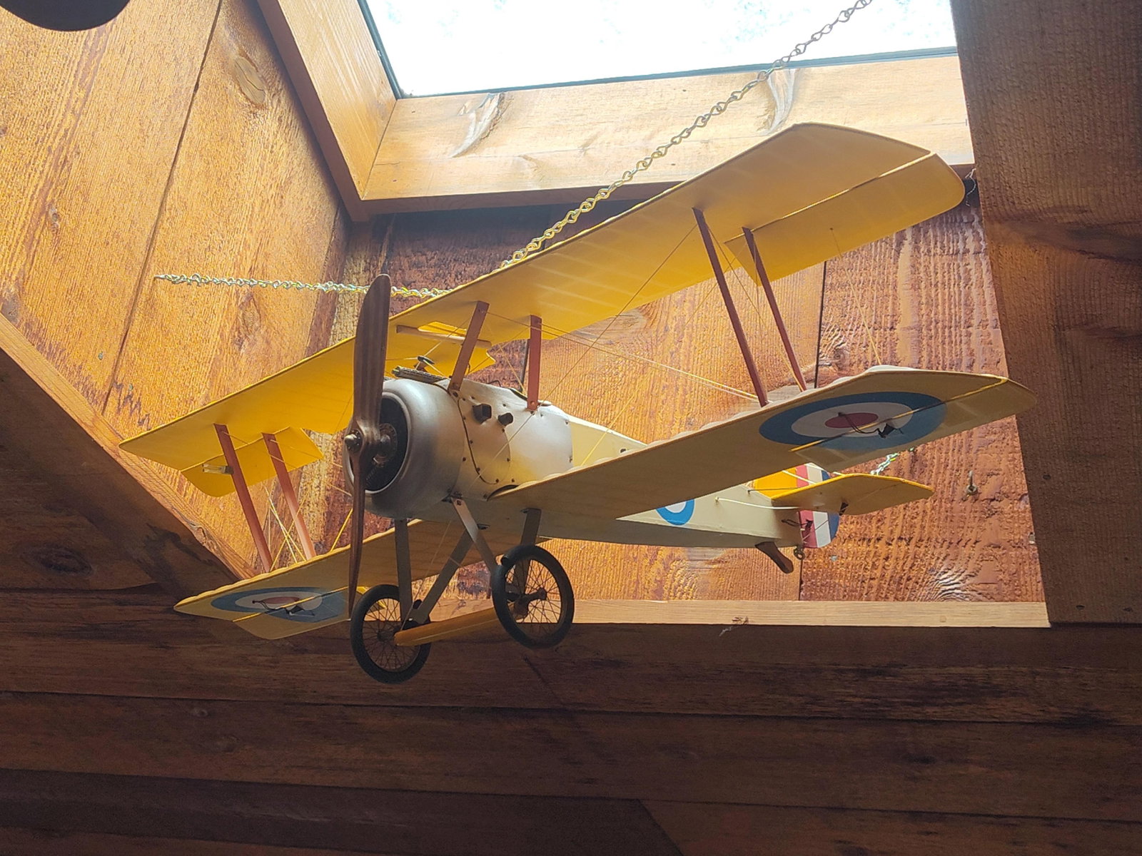 Authentic Models Sopwith Camel Model Airplane (1 of 3)