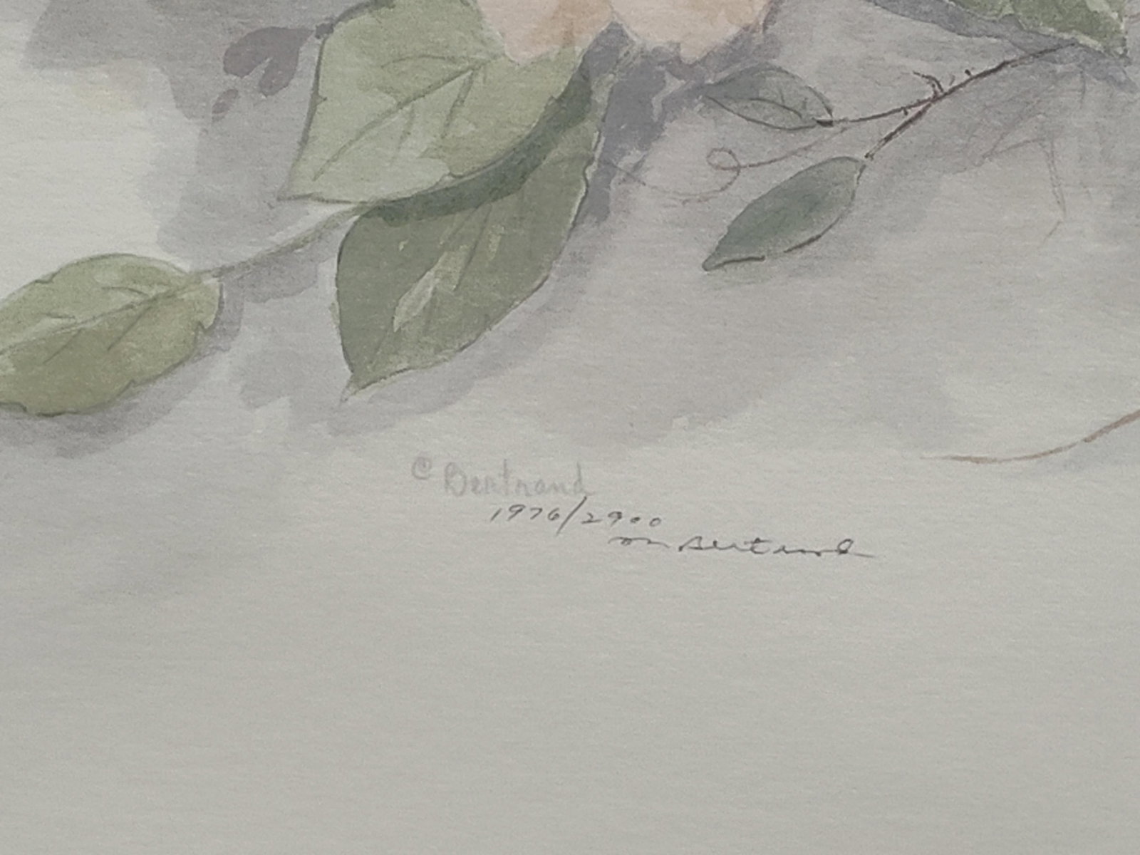 Mary Bertrand Signed Floral Offset Lithograph - 2