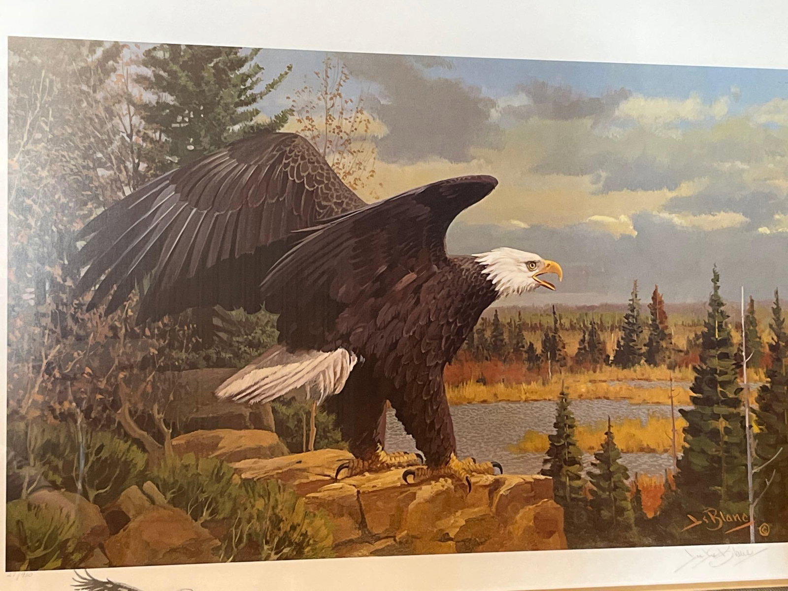 Jim LeBlanc, Bald Eagle Wilderness Remarque Print (1 of 3)