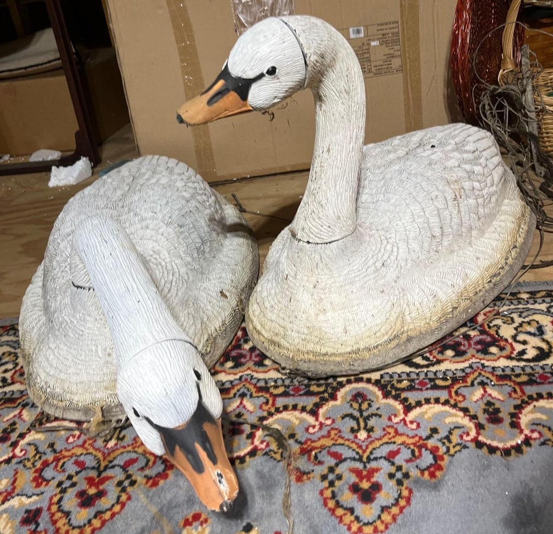 A Pair of Decorative Mute Swan Decoys (1 of 3)