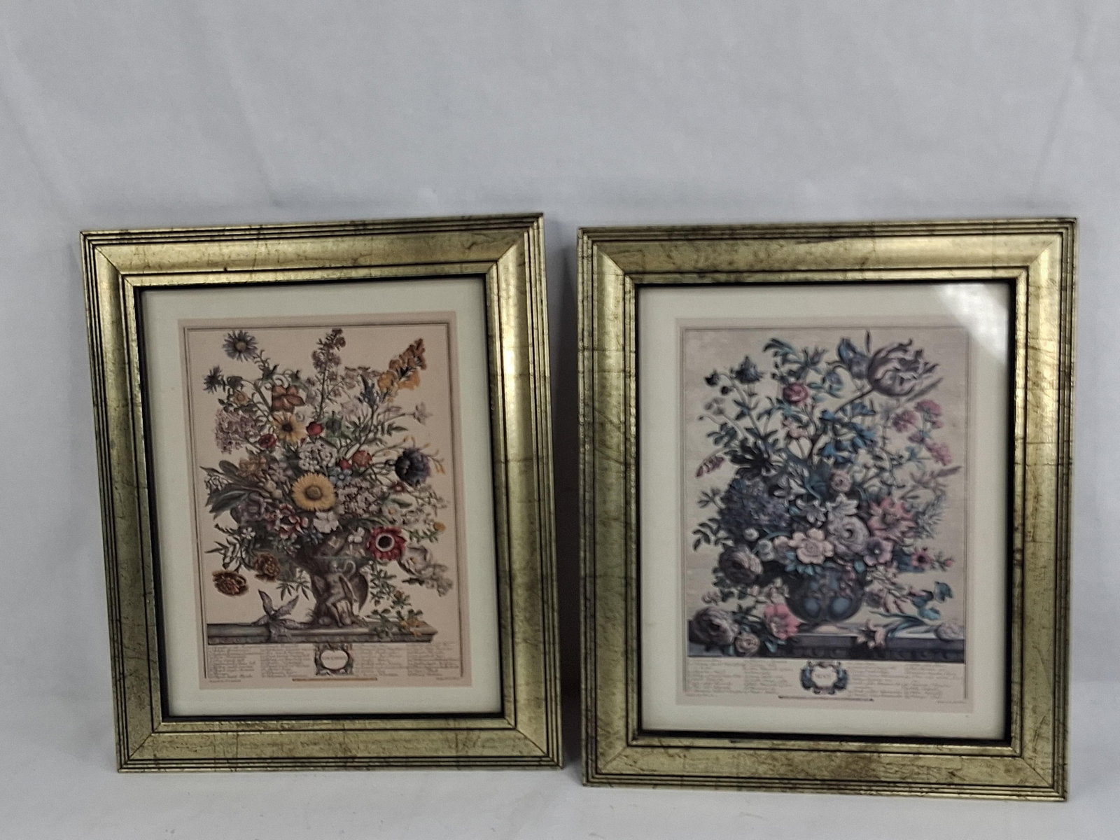 Pair Prints after Pieter Casteels: May & Nov: This pair of decorative prints features offset lithographic reproductions of May and November from the series Twelve Months of Flowers, originally published by nurseryman Robert Furber in 1730. Each