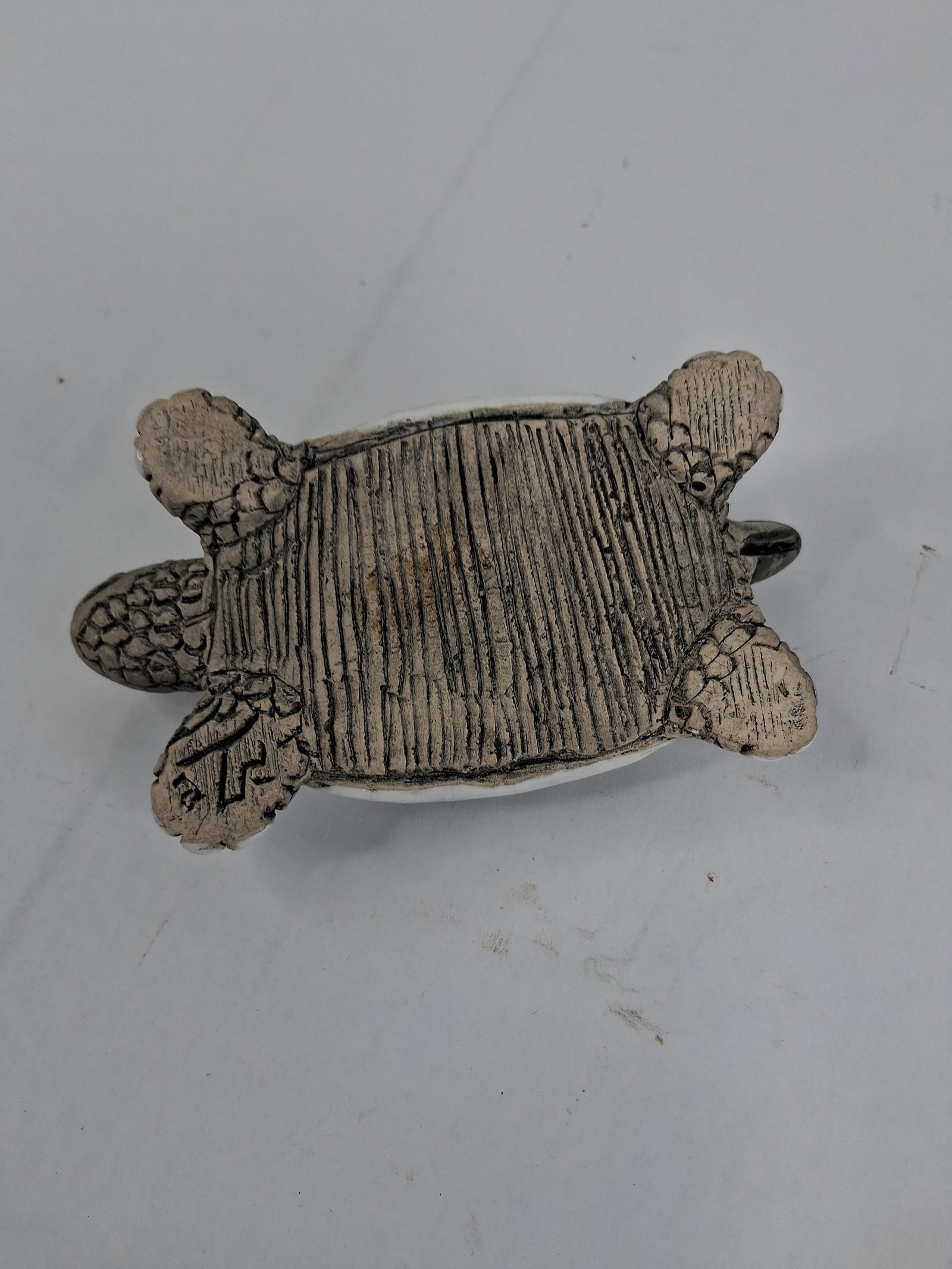 Treasure Craft & Turtle-Themed Assortment - 12