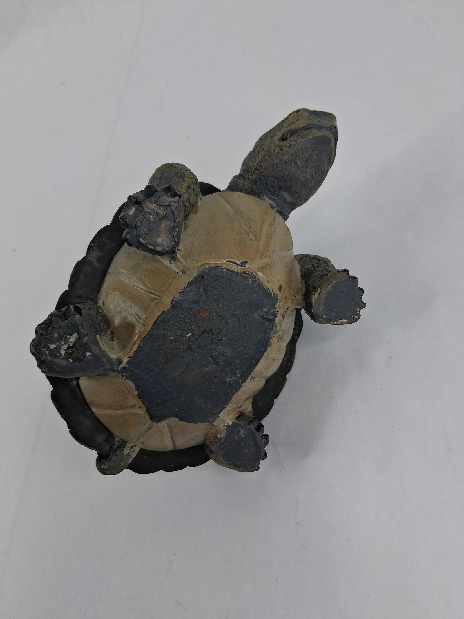Treasure Craft & Turtle-Themed Assortment - 15
