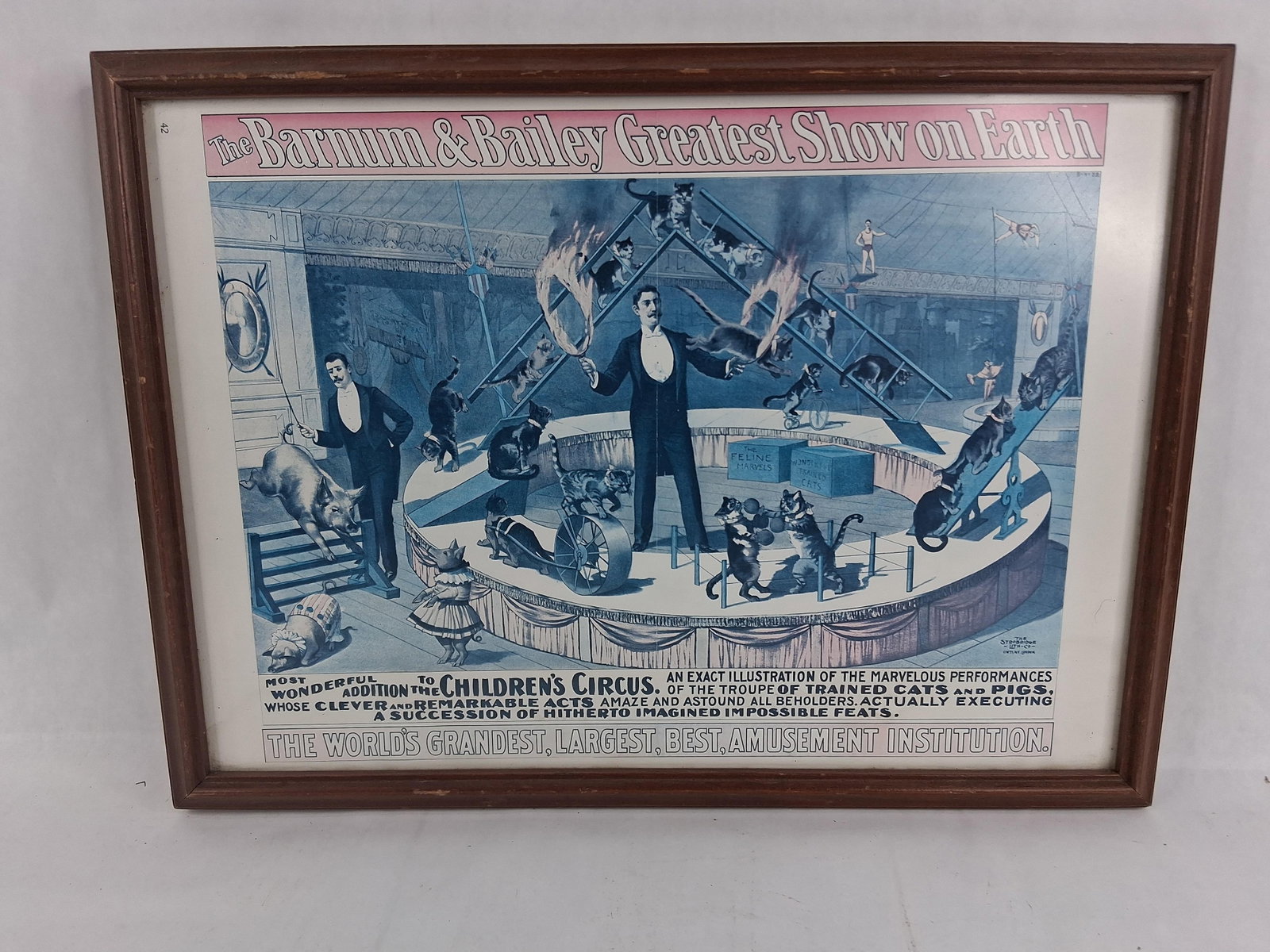 Strobridge Barnum & Bailey Circus Chromolithograph: 11x15 in This framed chromolithograph is a promotional poster for The Barnum and Bailey Greatest Show on Earth, specifically highlighting the Children's Circus and its troupe of trained cats and