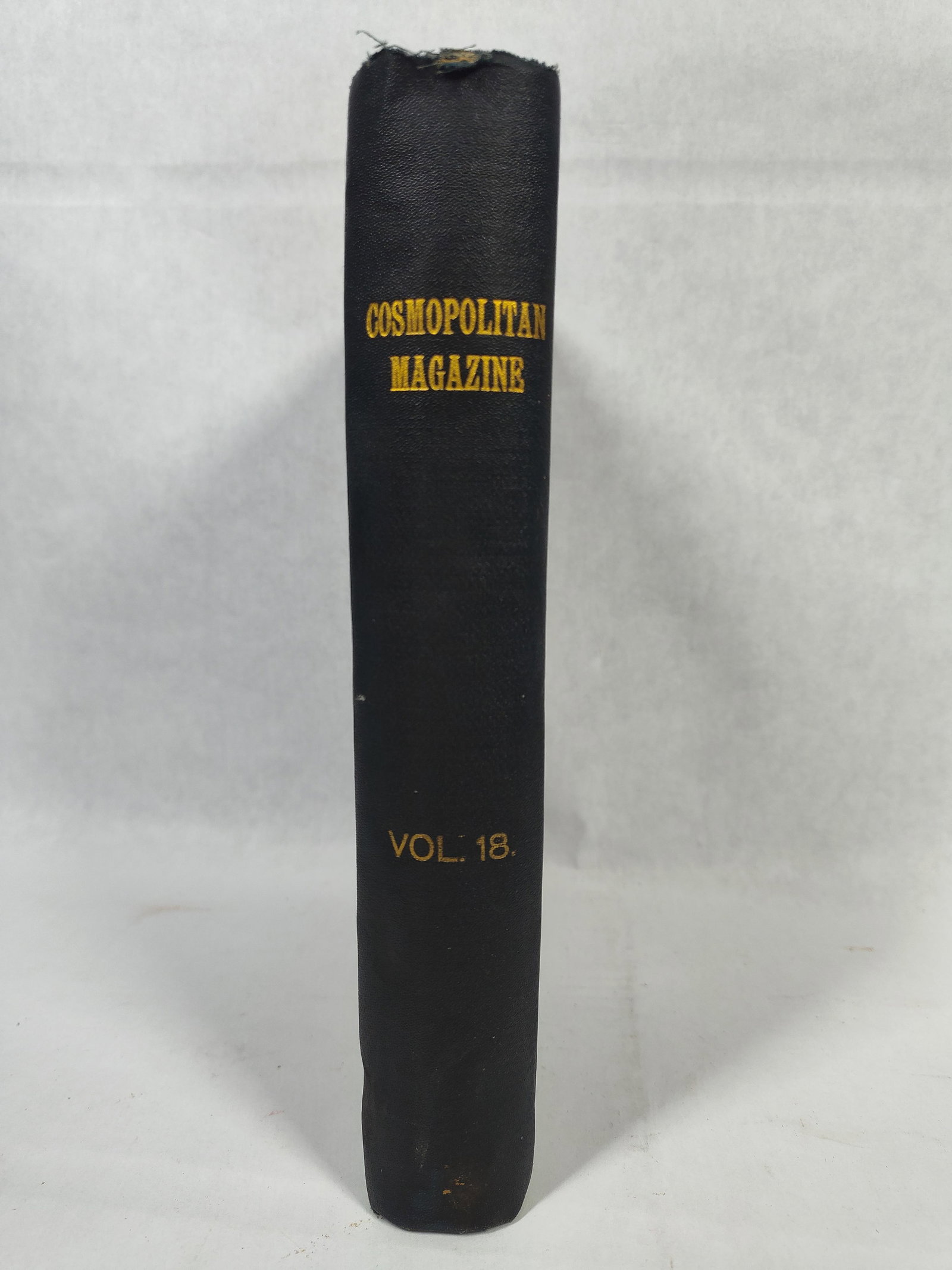 Walker, The Cosmopolitan Magazine, Vol XVIII, 1895 (1 of 3)