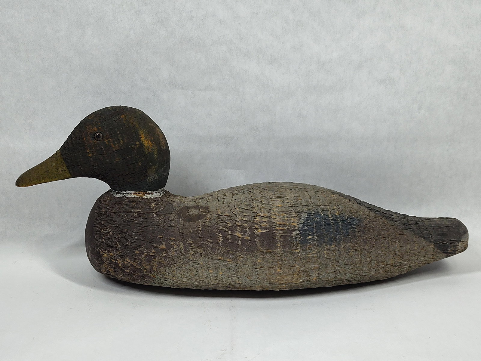 resultVictor Animal Trap Co. Wood Drake Scaup (1 of 4)
