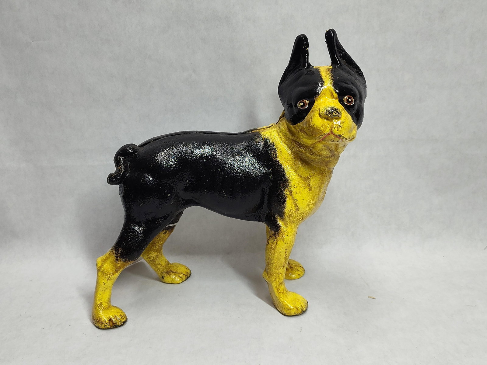 Standing Boston Terrier Still Bank (1 of 3)