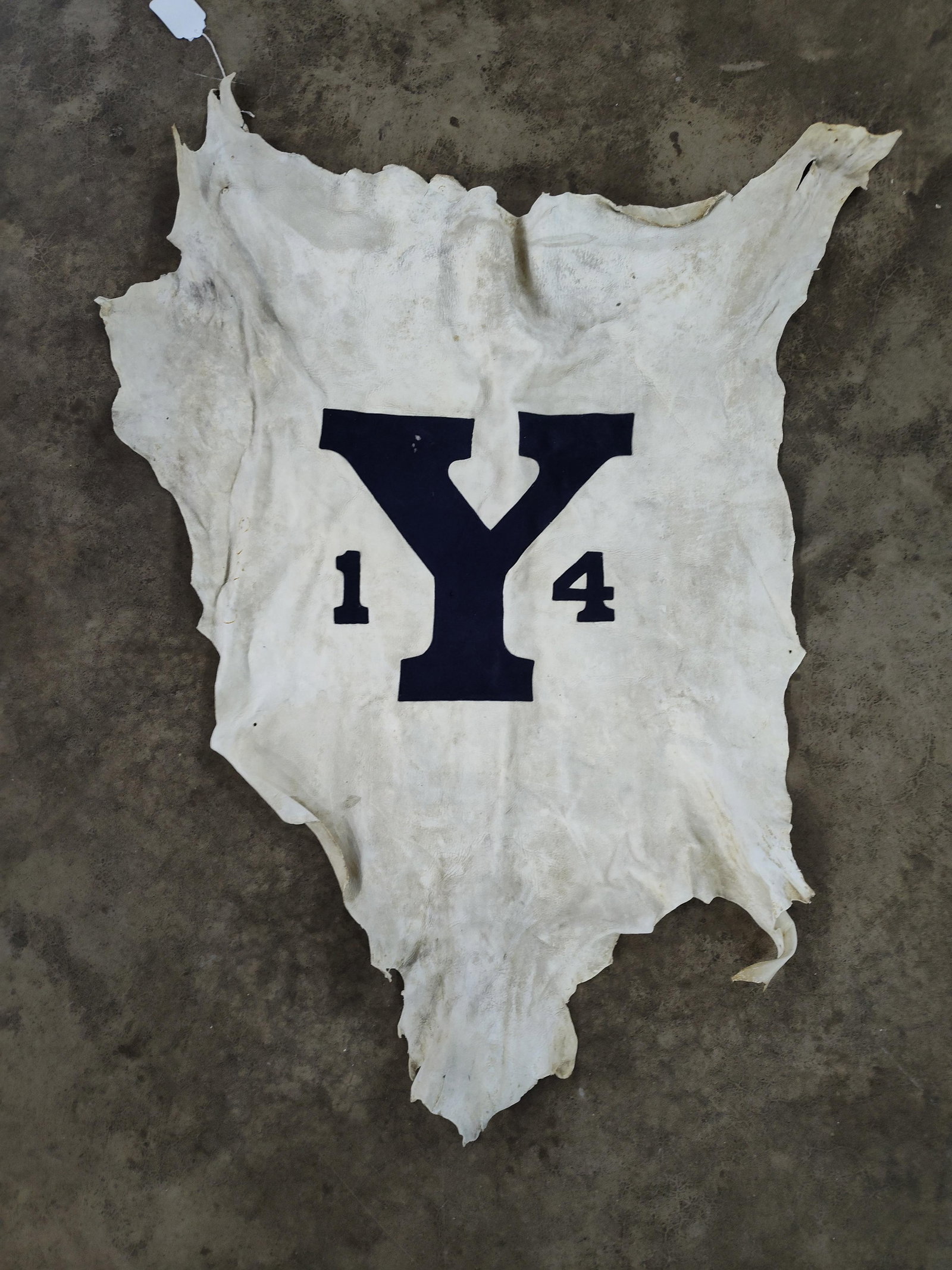 Yale University Class of 1914 Leather Wall Hanging: This collegiate wall hanging is a commemorative piece for the Yale University Class of 1914. The item is constructed from a natural, white-tanned animal hide with irregular, untrimmed edges