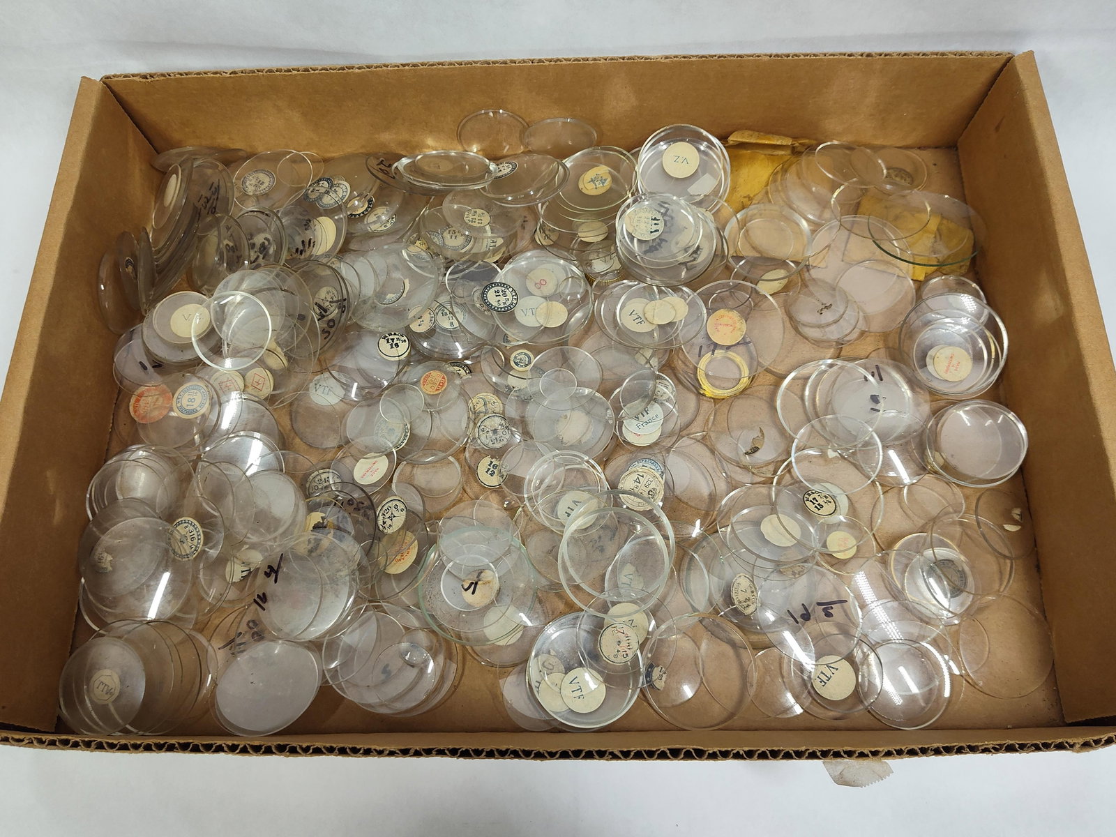 Watchmakers Glass & Plastic Watch Crystals: This lot consists of an extensive assortment of watch crystals intended for replacement and repair. The collection includes various circular profiles, including flat, convex, and high-dome bullseye
