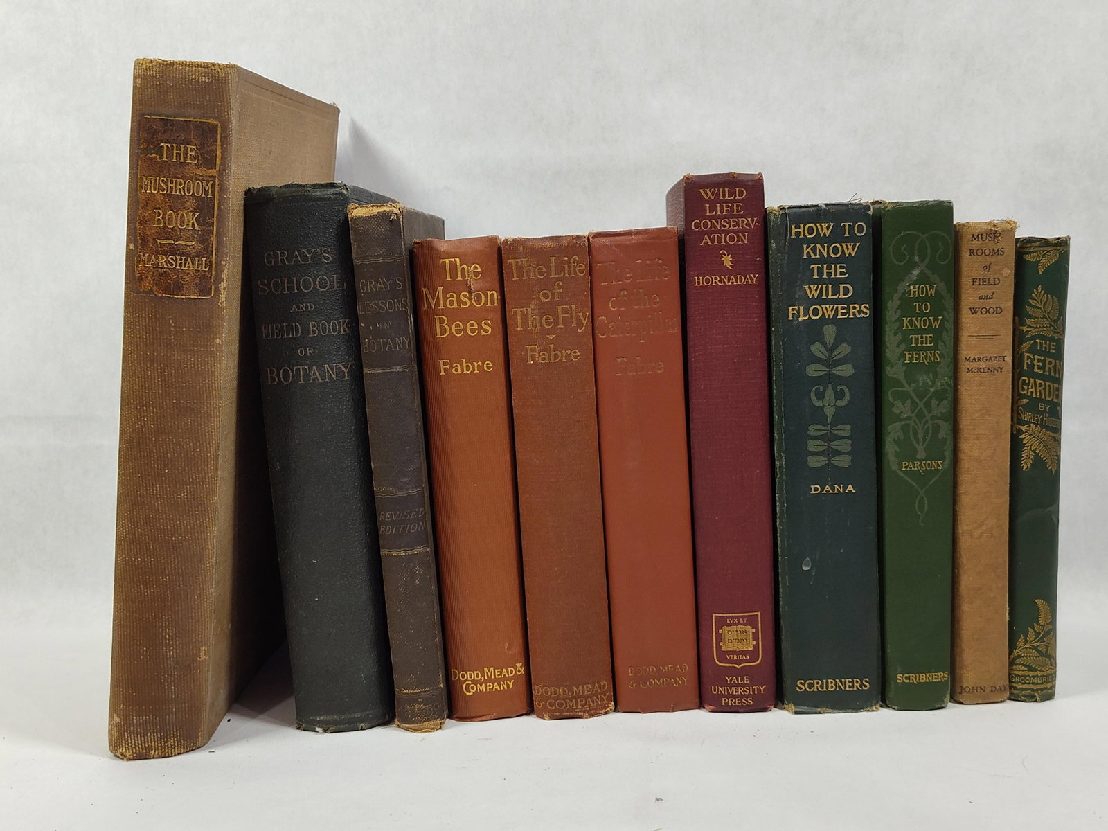 Nat. History, Botany & Entomology Vols, 1870-1929: This collection comprises hardcover volumes focused on natural history, botany, and entomology, dating from the late nineteenth to early twentieth centuries. The group includes several works by noted