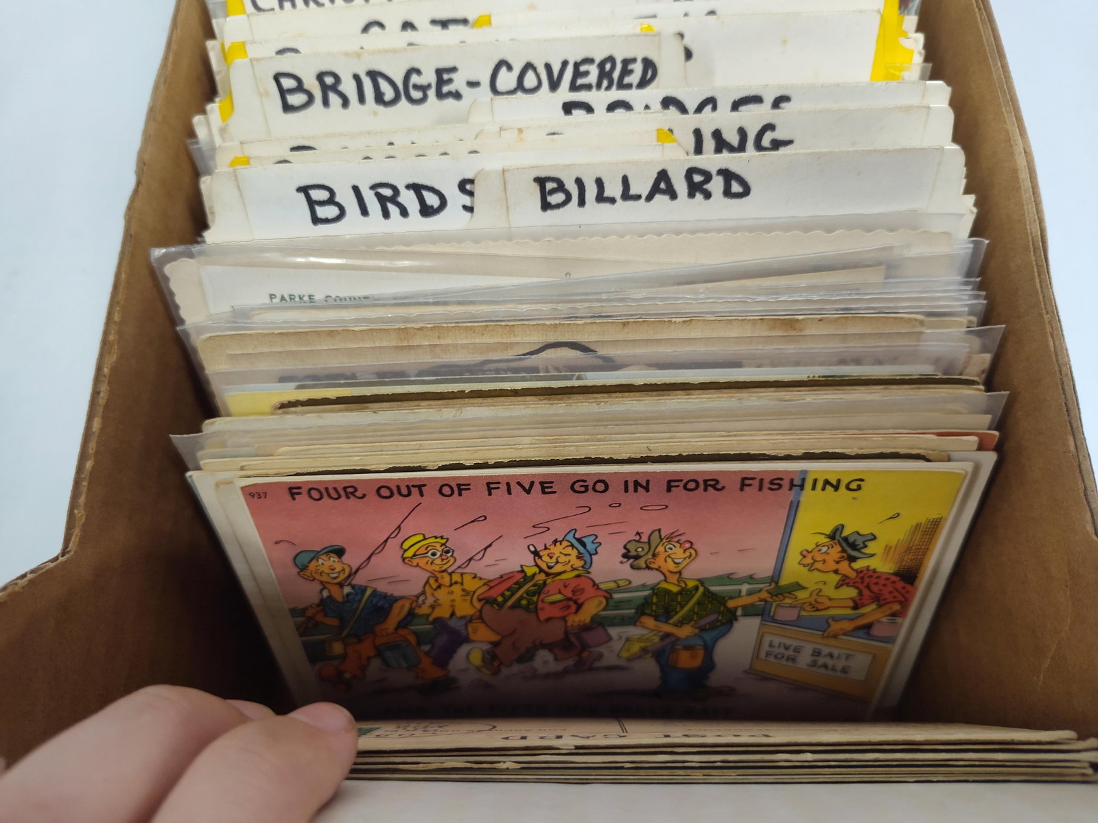 & Mid-C. Postcard Storage Archive - 2