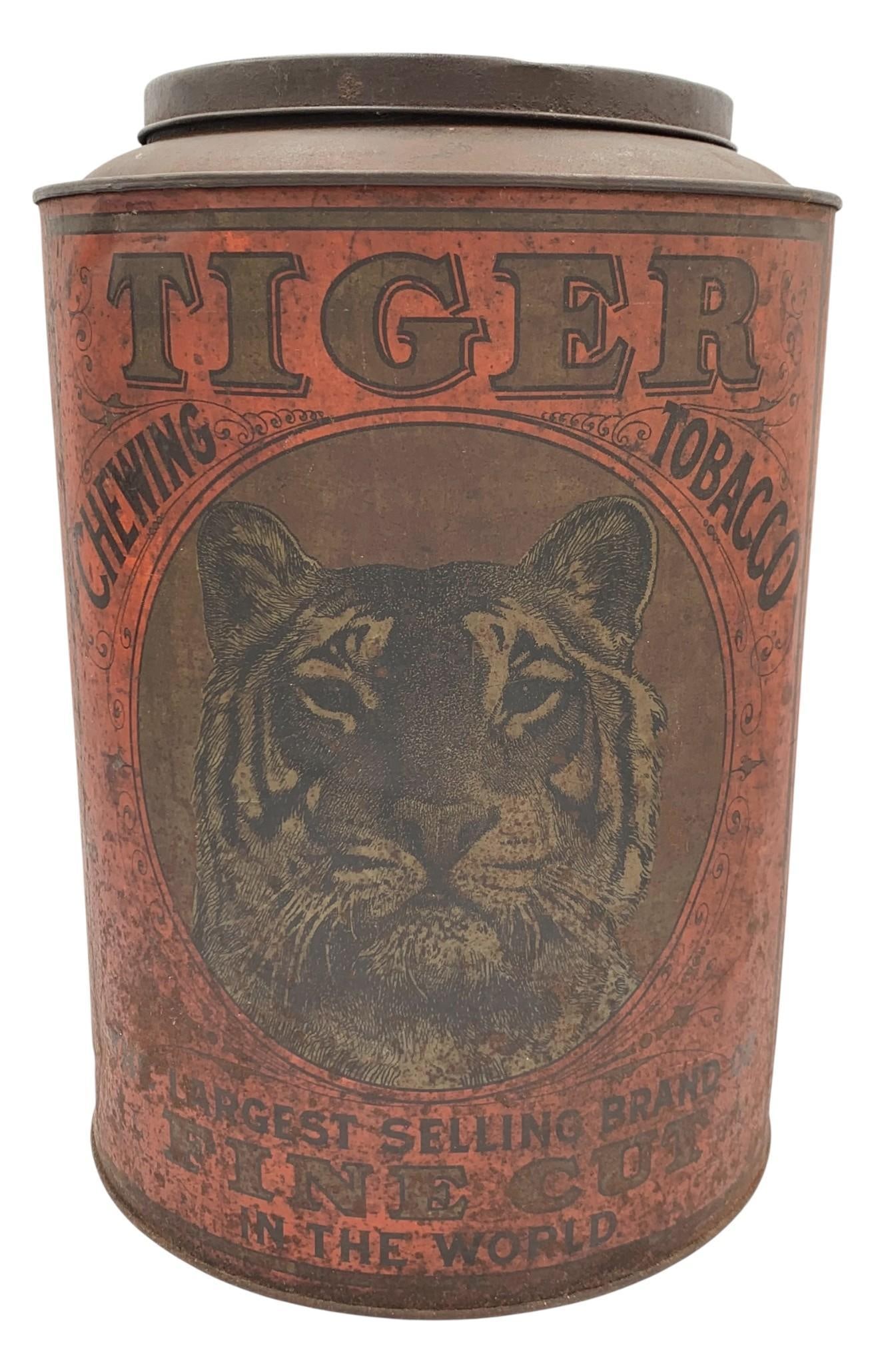Fantastic Large Size Antique Tin Litho TIGER Fine Cut Chewing Tobacco Lidded General Store Can (1 of 8)