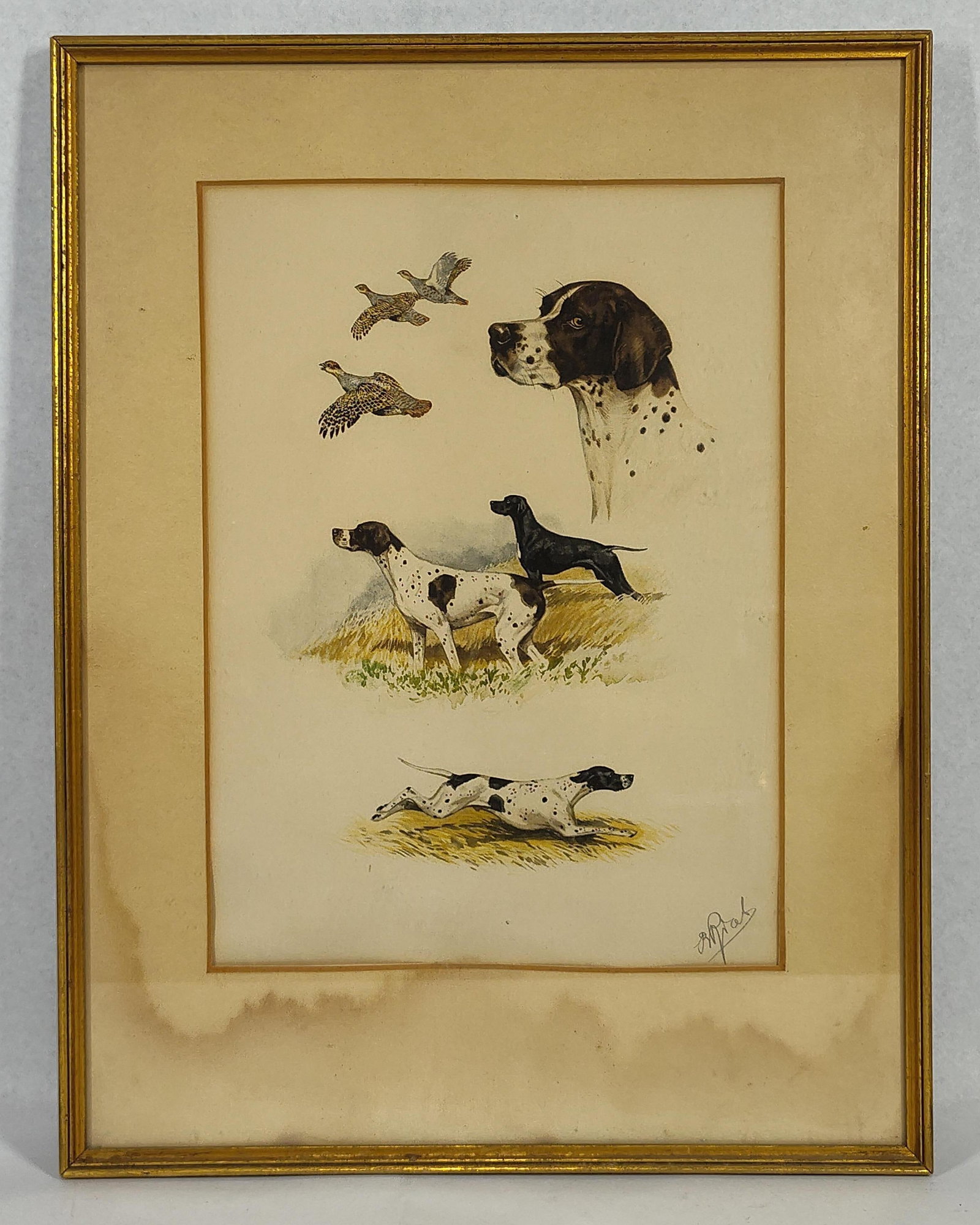 Boris Riab, Pointers & Game Birds, W/C: 18x14 This watercolor and bodycolor work on toned paper is by the Russian-born sporting artist Boris Riab (1898-1975). The composition serves as a composite study of English Pointers in various huntin