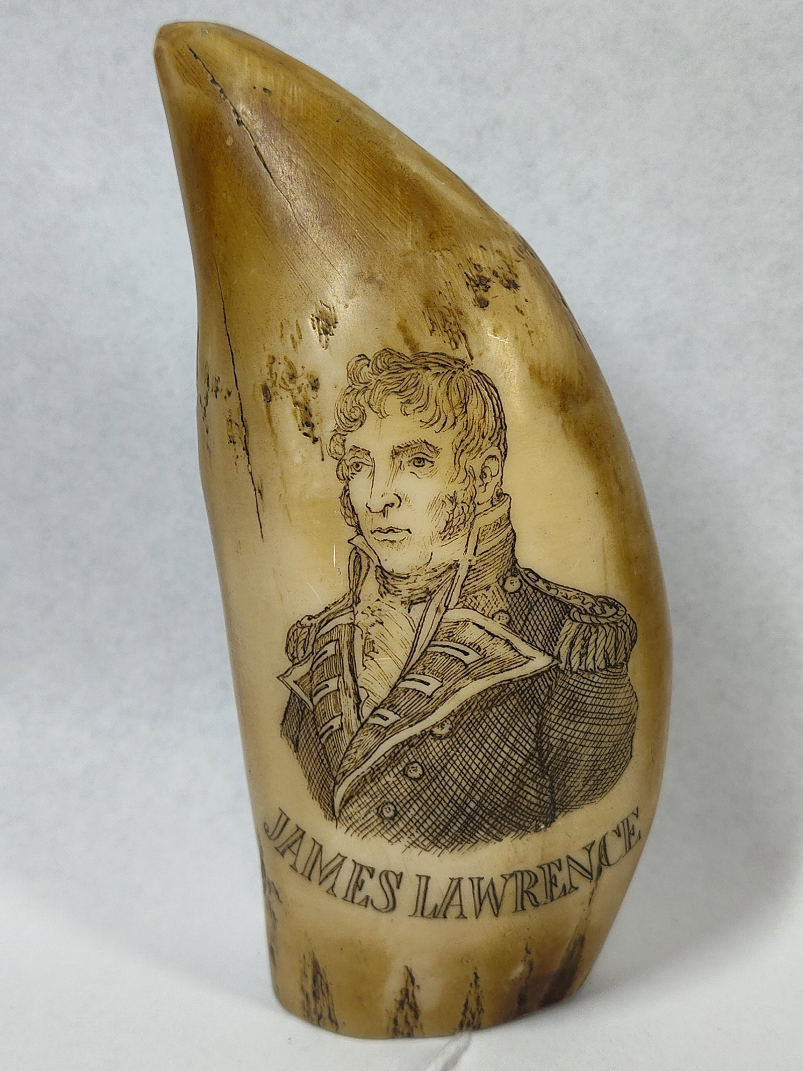 Resin Scrimshaw Tooth: James Lawrence (1 of 5)