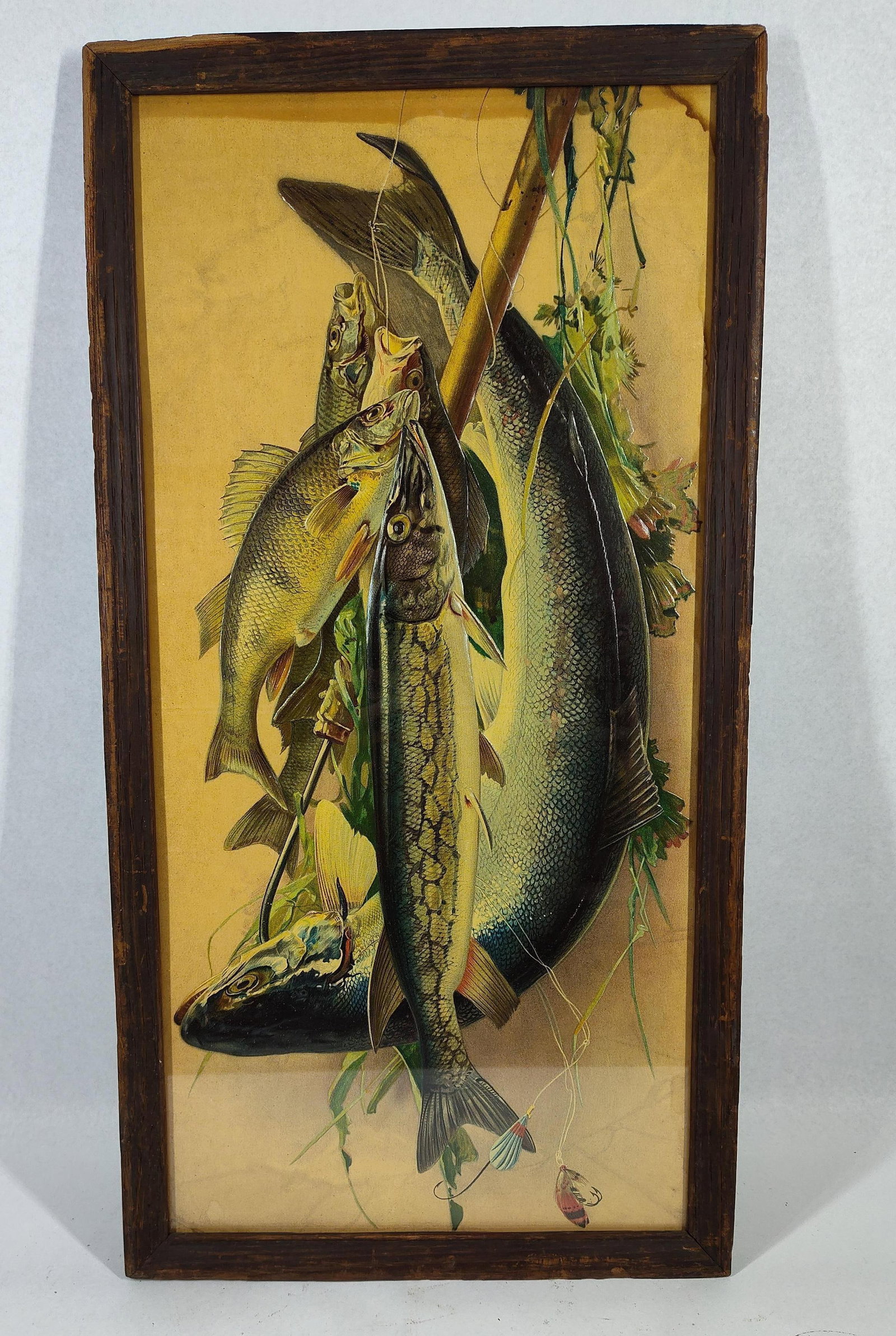 Embossed American Game Fish Chromo is (1 of 6)
