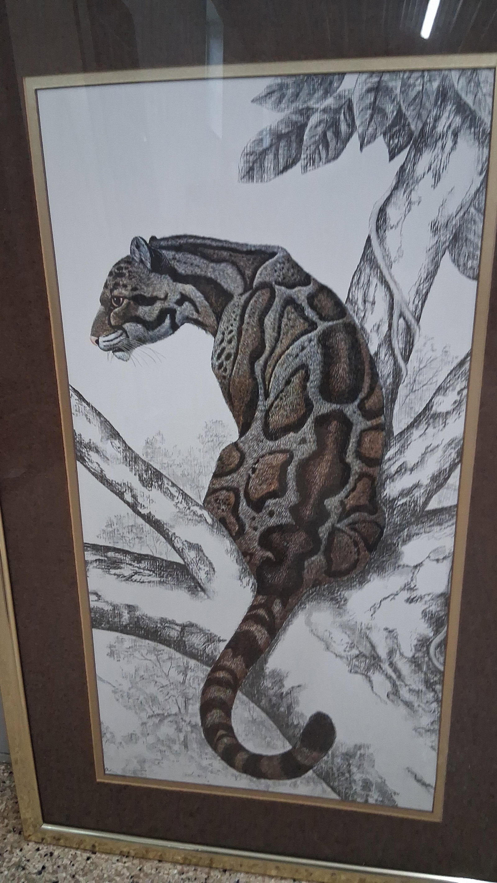 Rama Samaraweera Clouded Leopard Print - 2