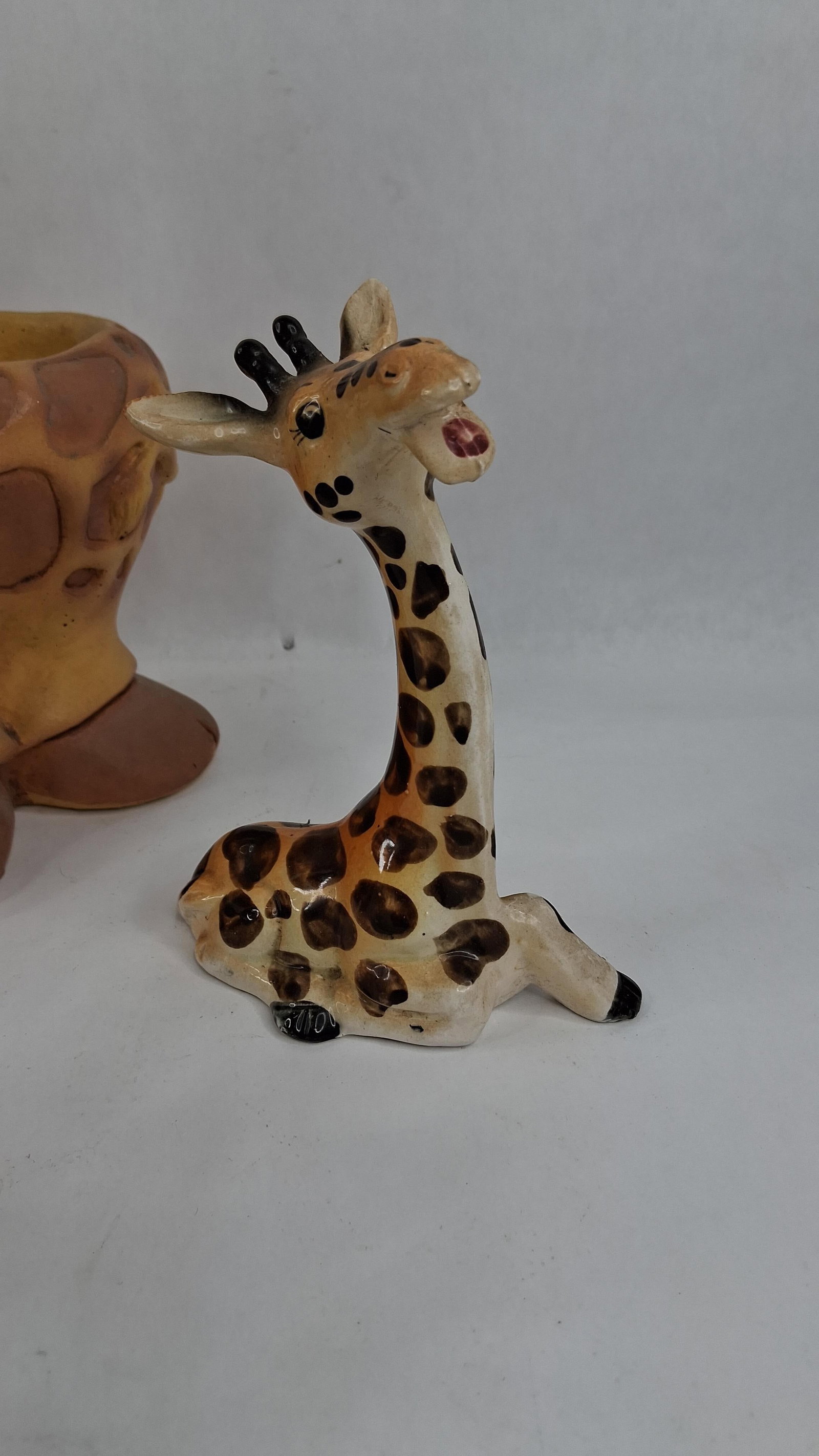 Giraffe-Themed Ceramic Items - 5