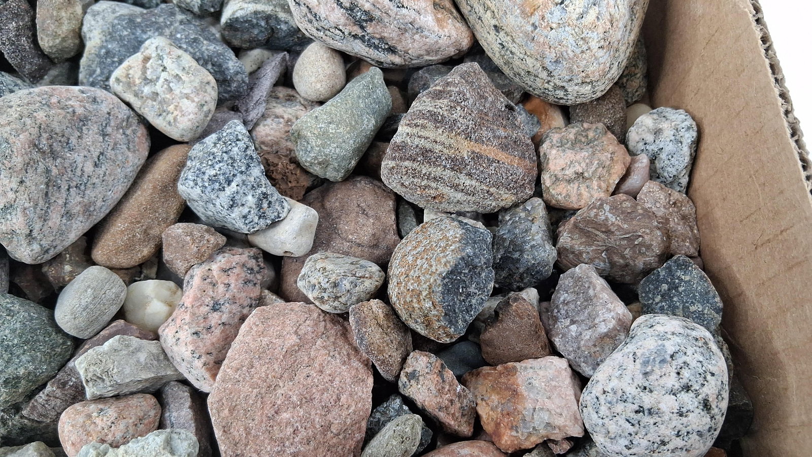 Geological Specimens & River Rocks - 4