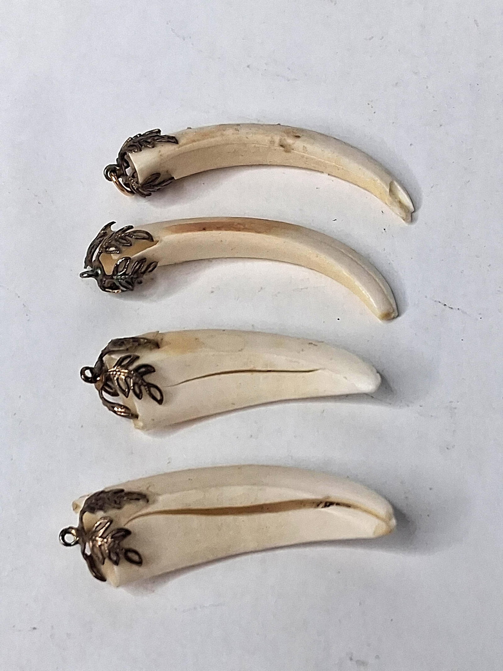 4 Boar Tusk Pendants w/ Foliate Caps: A group of four individual pendants crafted from natural material. Each specimen is capped with a decorative silver-toned metal mounting featuring a relief-molded pattern of leaves and berries. The