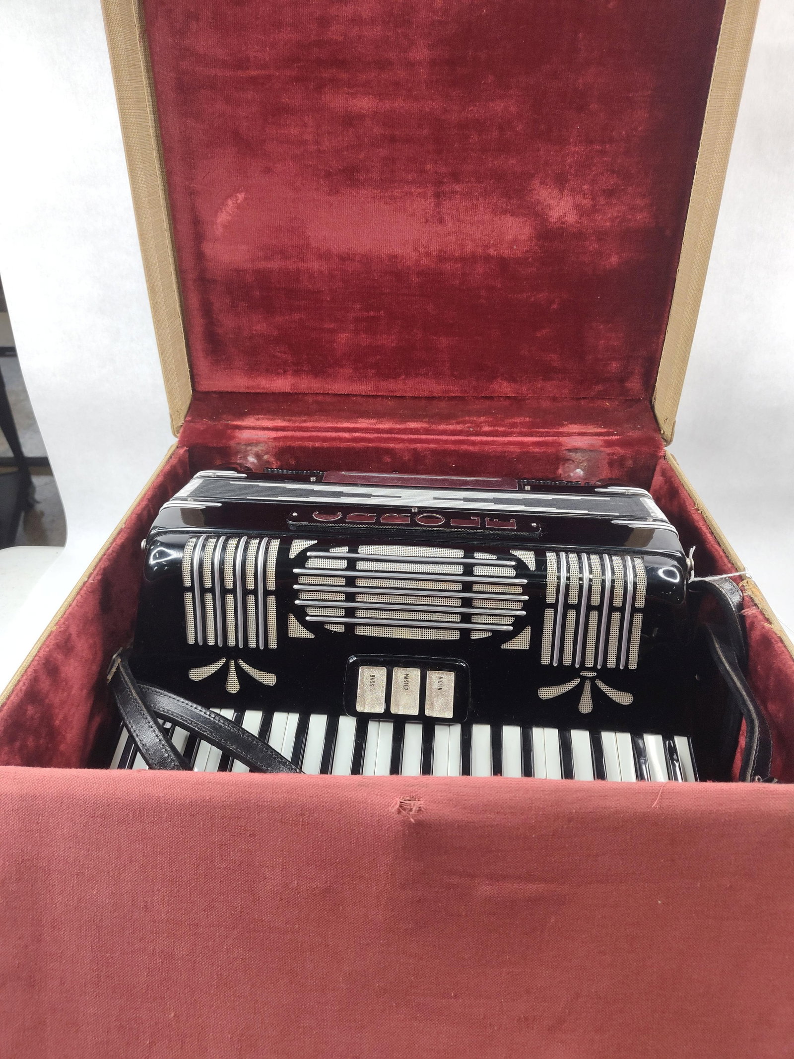 Carole 120-Bass Italian Piano Accordion - 7