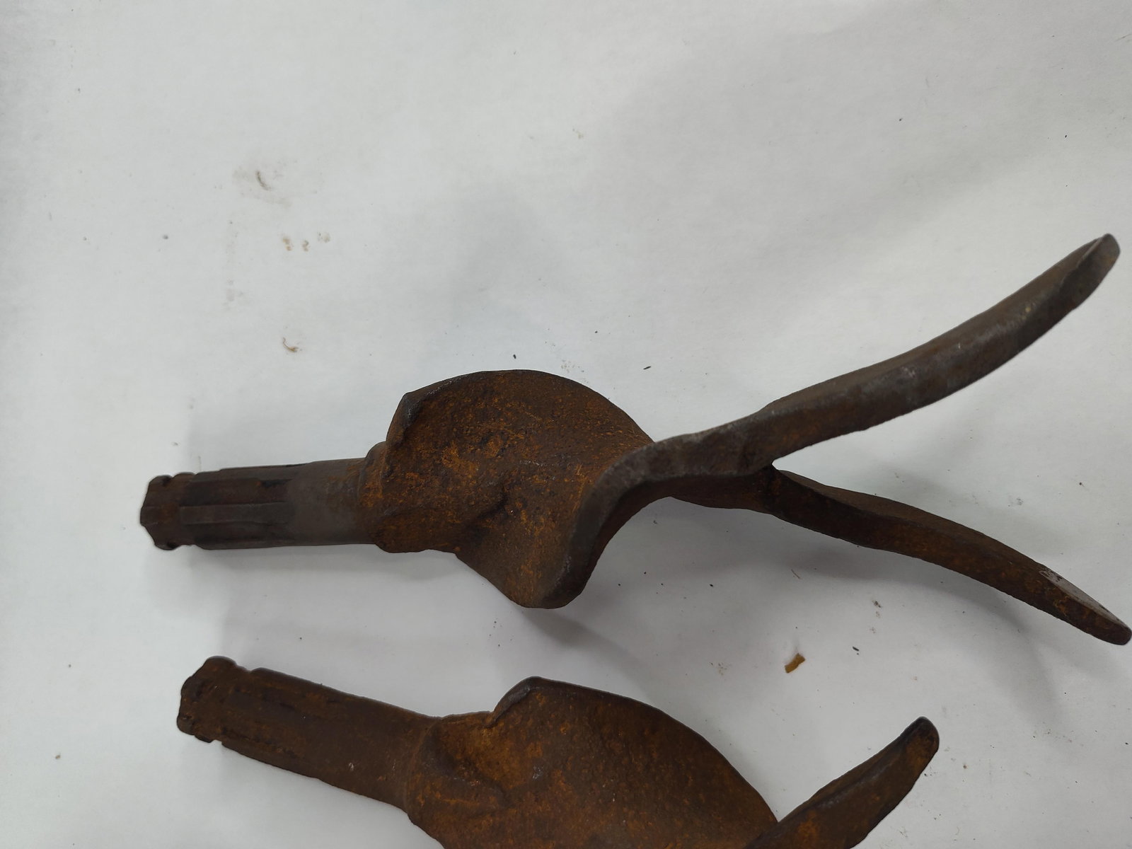 Set 5 Splined Manure Spreader Teeth - 2