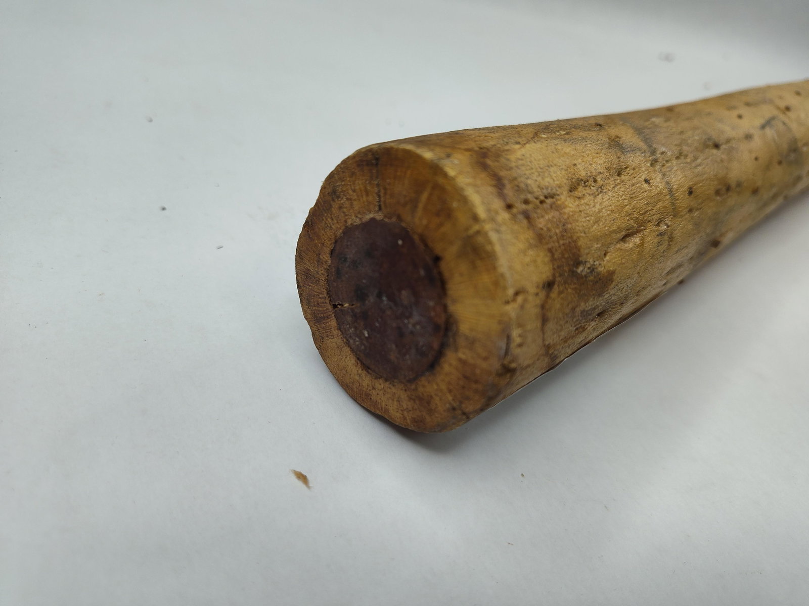 Chilean Cactus Rainstick Percussion - 4