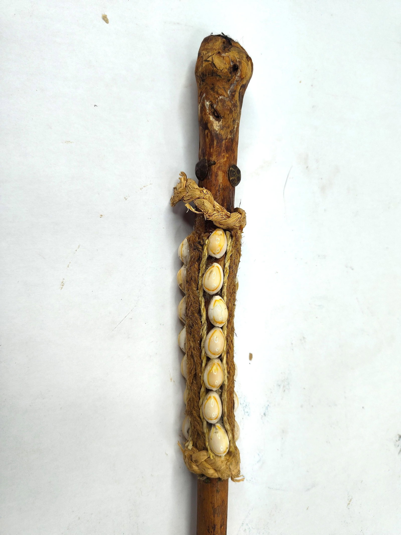 West African/Oceanic Cowrie Shell Staff: An ethnographic ceremonial staff or walking stick, fashioned from a naturally contoured wood limb. The upper section features a decorative application of cowrie shells from the Cypraea family, secured