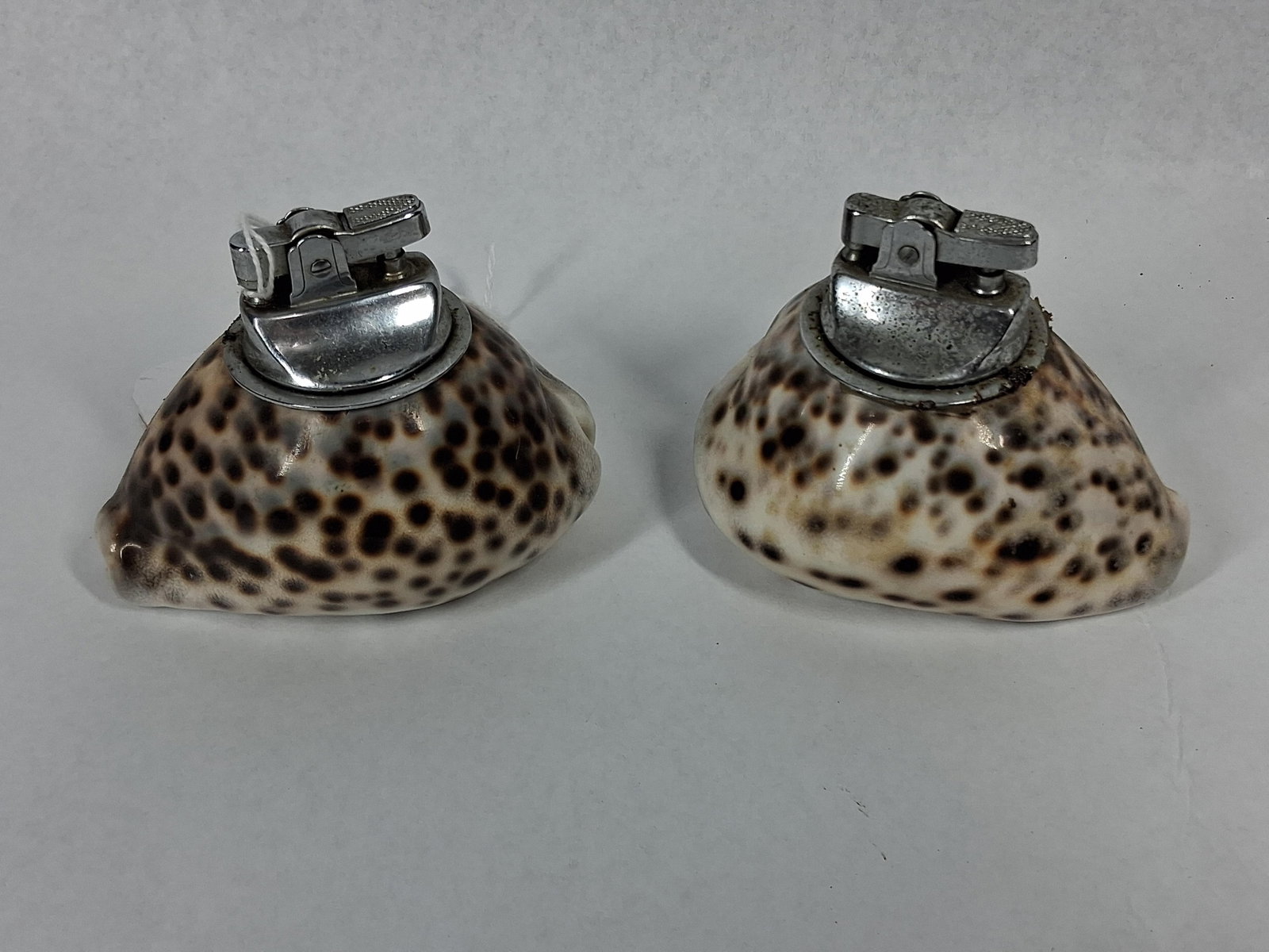 Pair Japanese Tiger Cowrie Lighters (1 of 5)