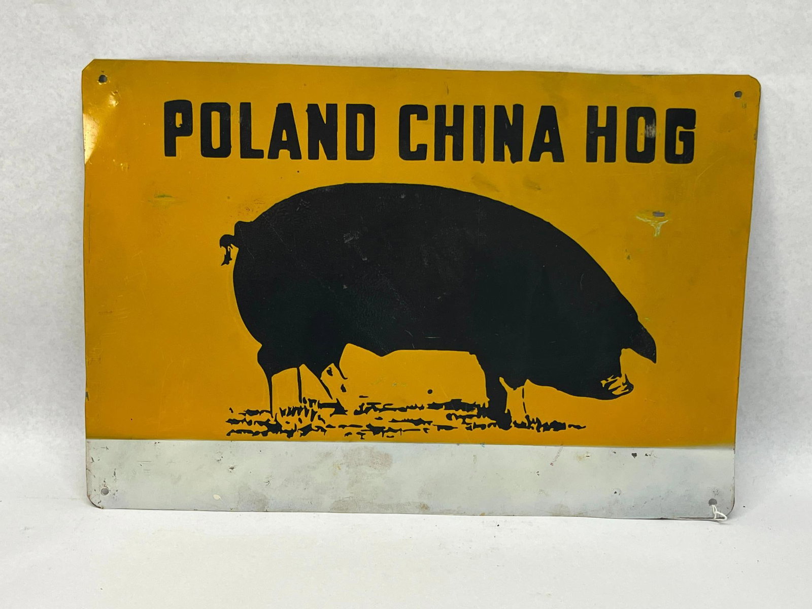 Poland China Hog Painted Metal Sign: A rectangular painted sheet metal agricultural sign advertising the Poland China hog breed. The sign features a yellow field with the text POLAND CHINA HOG printed in black block lettering across the