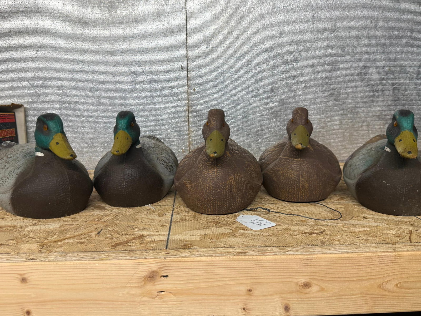 General Fibre Co Ariduk Mallard Decoys (1 of 8)