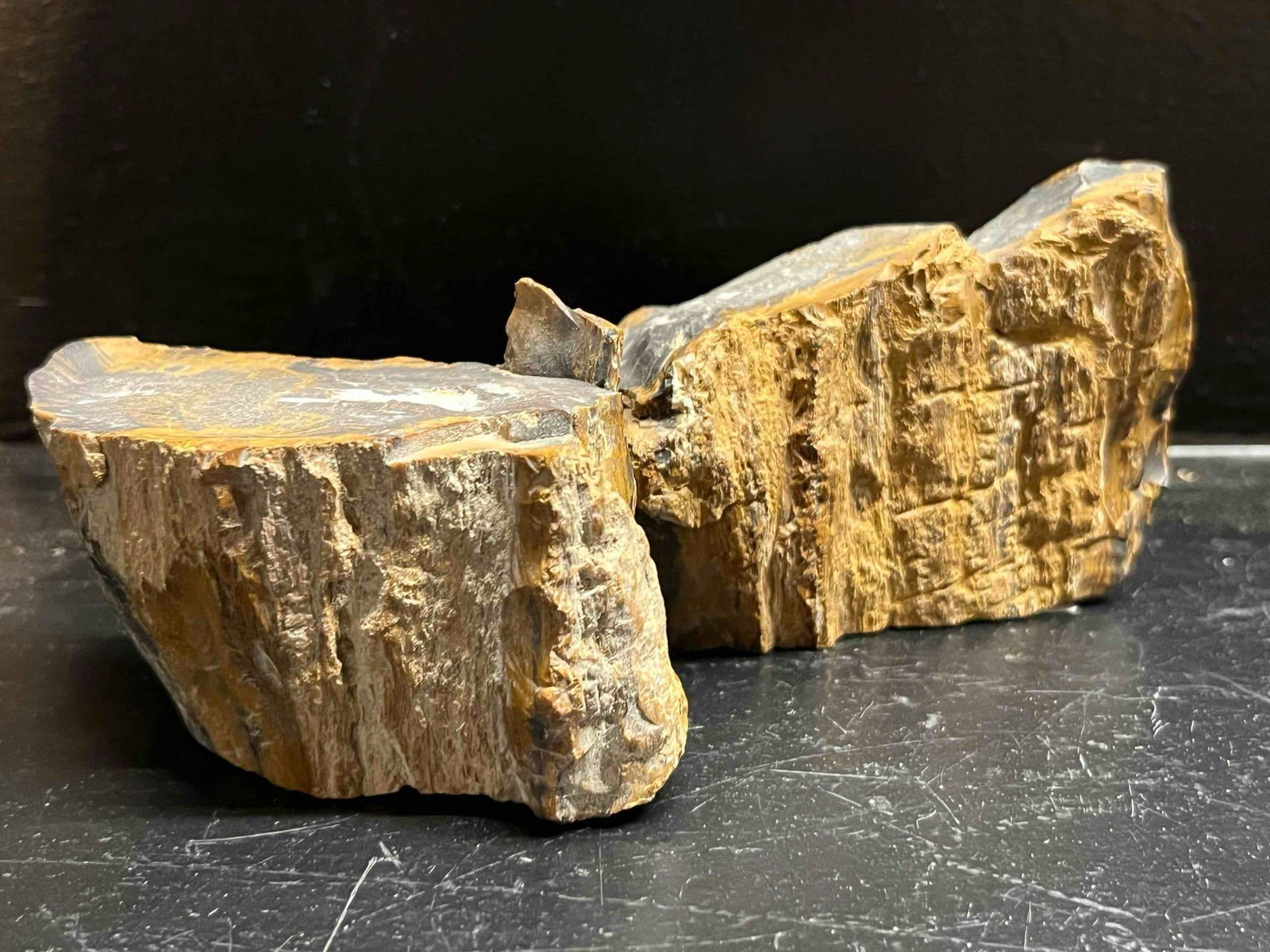 A Pair of Petrified Wood Specimens (1 of 5)