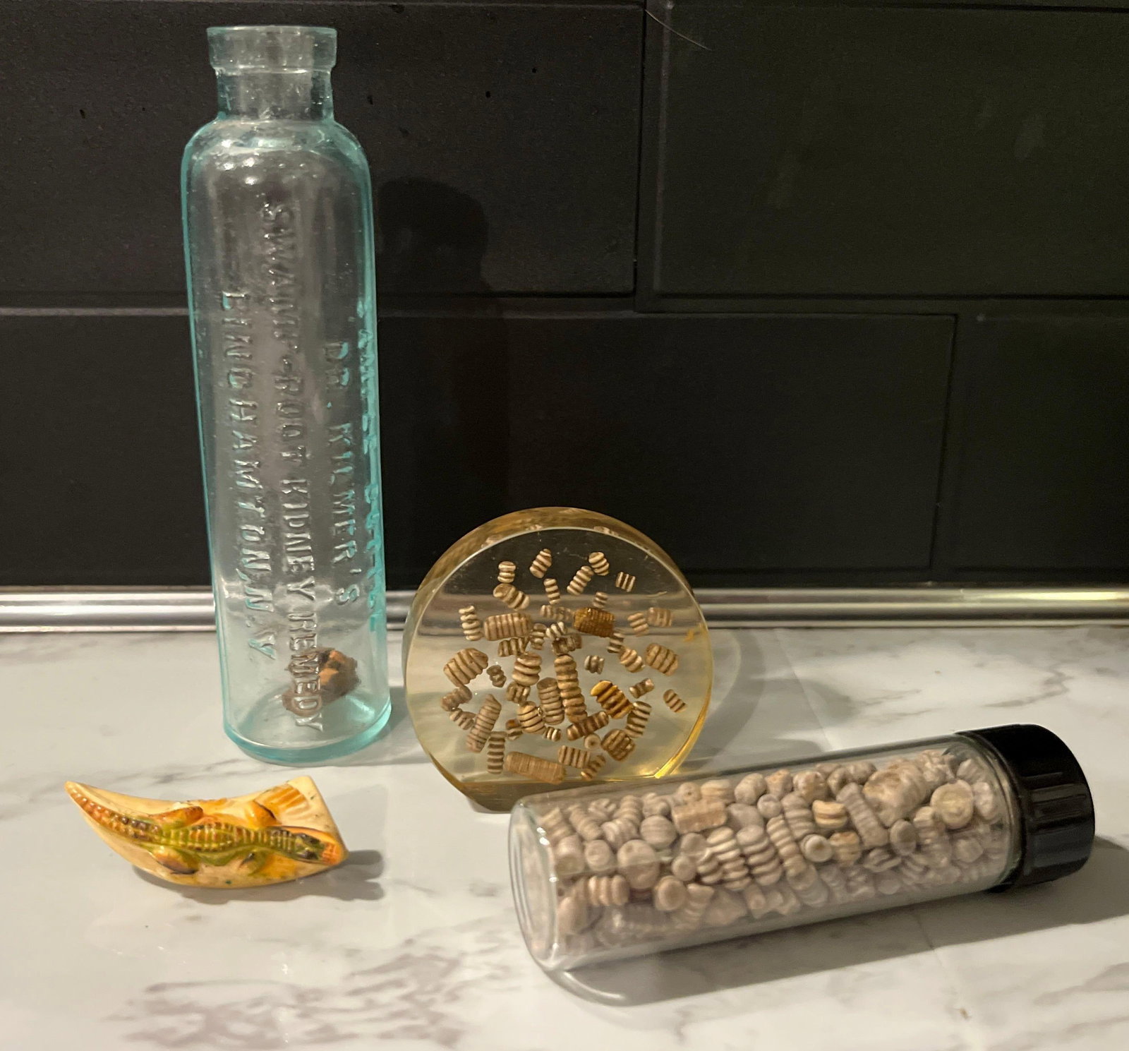 Dr. Kilmer Bottle, Fossils & Brooch (1 of 9)