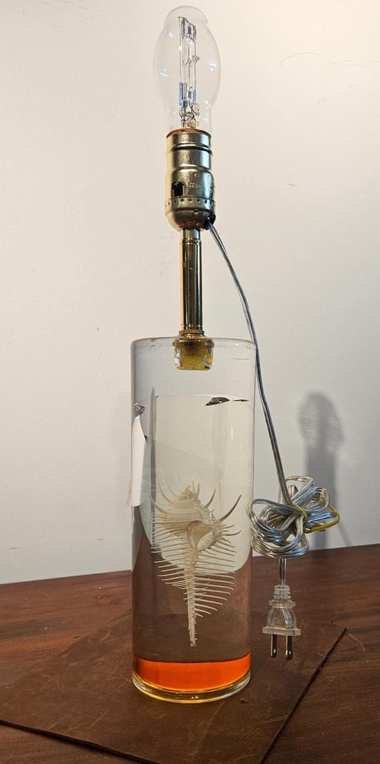Lucite Table Lamp w/ Venus Comb Murex: A mid-century modern style table lamp featuring a cylindrical body composed of clear cast resin. A natural specimen of a Venus Comb Murex (Murex pecten) seashell is suspended within the clear upper se