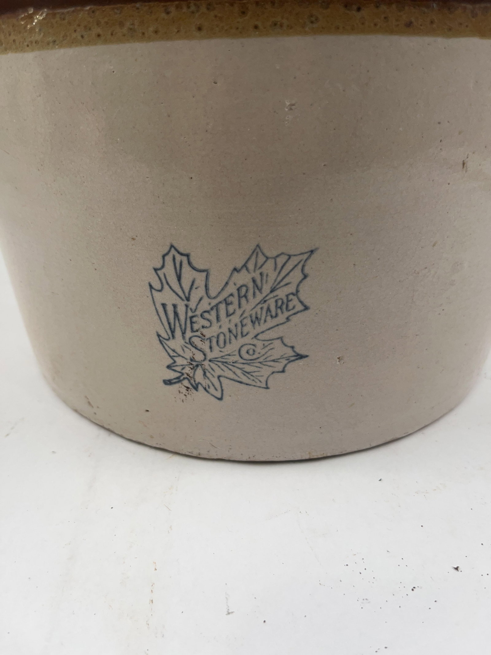 Western Stoneware Co Maple Leaf Jug - 2
