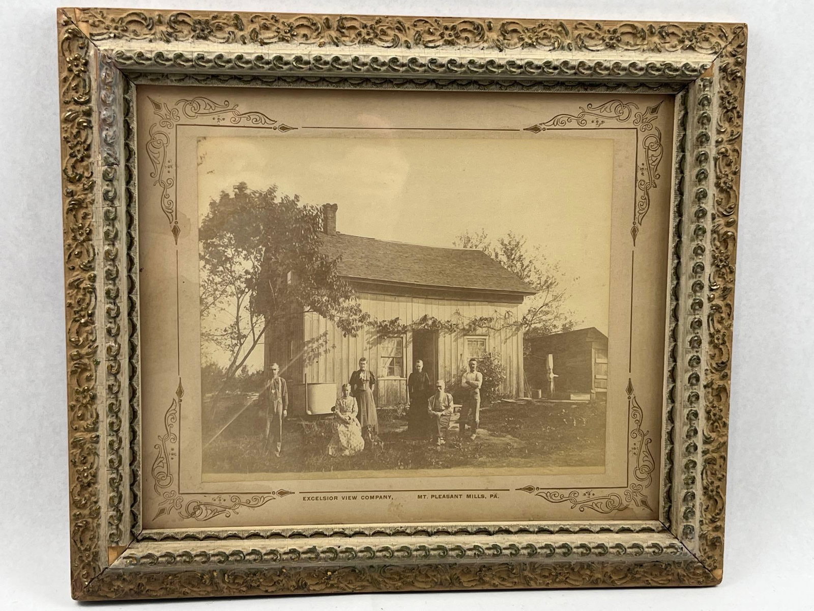 Excelsior View Co. Family Albumen Photo: An antique albumen print depicting a rural family group of six individuals posed outside a vertical-plank wooden residence. The setting includes a leafy tree, vines climbing the house exterior, and a