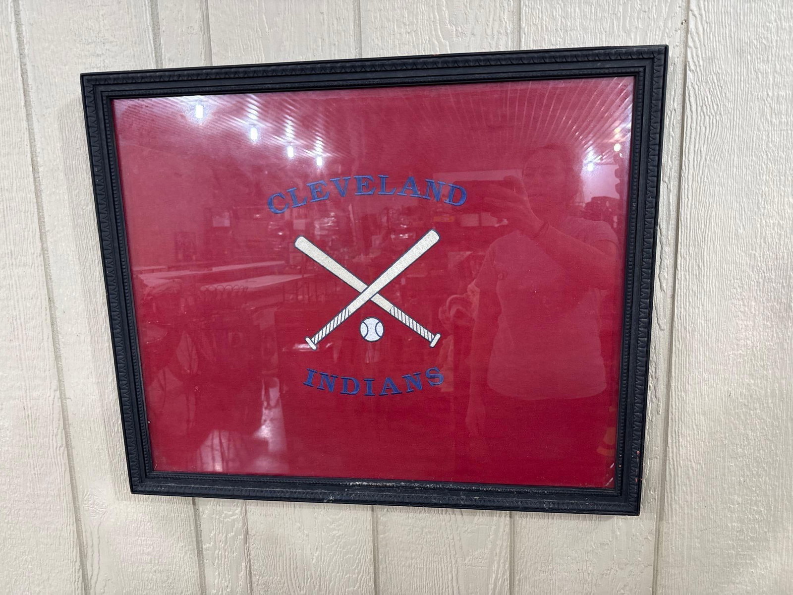 Cleveland Indians Baseball Embroidery - 3