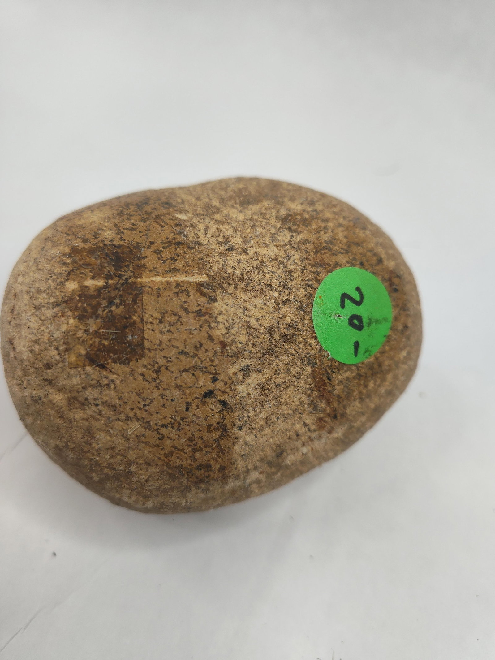 Geological Specimens & Stone Artifacts - 11