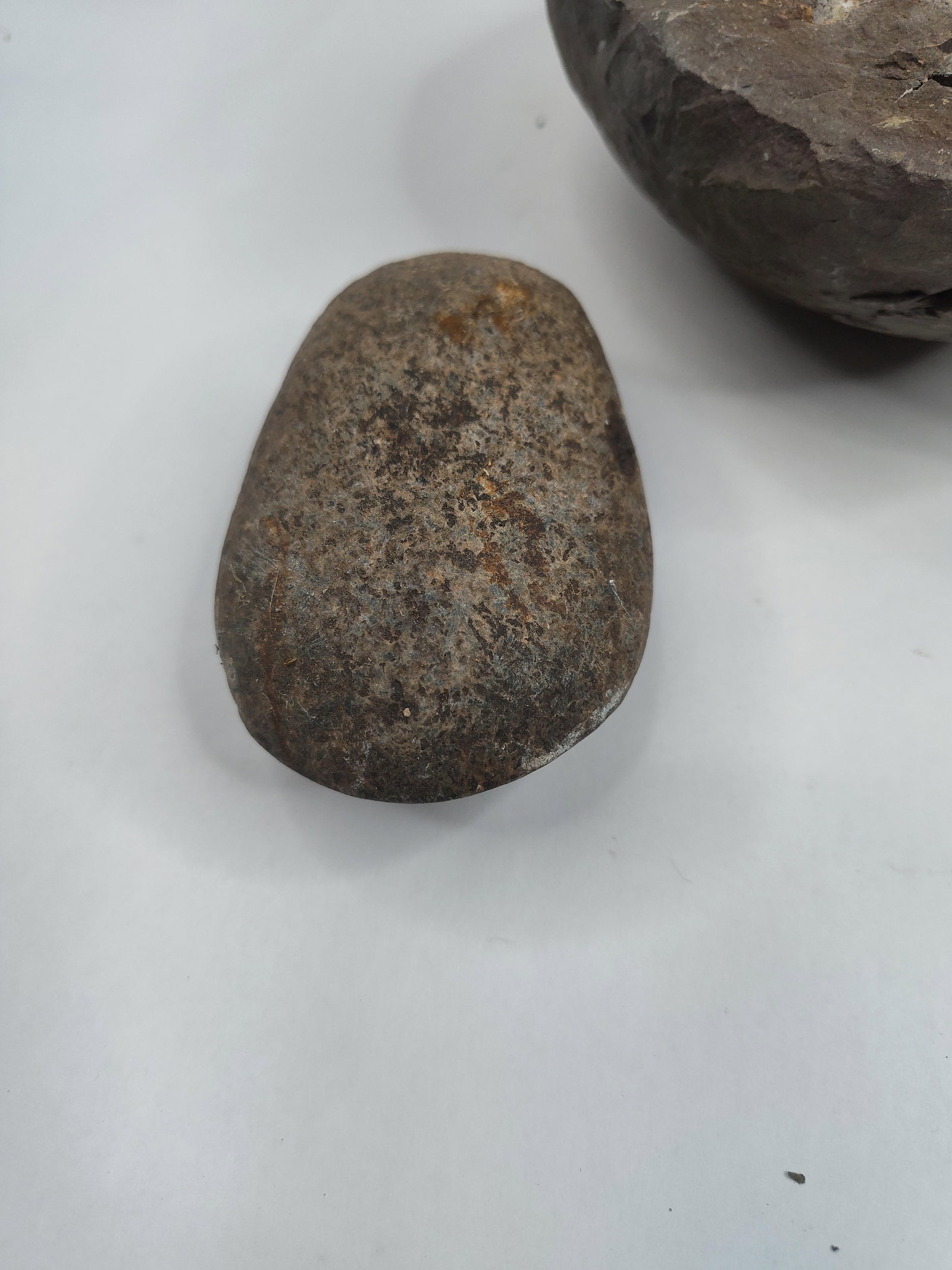Geological Specimens & Stone Artifacts - 2